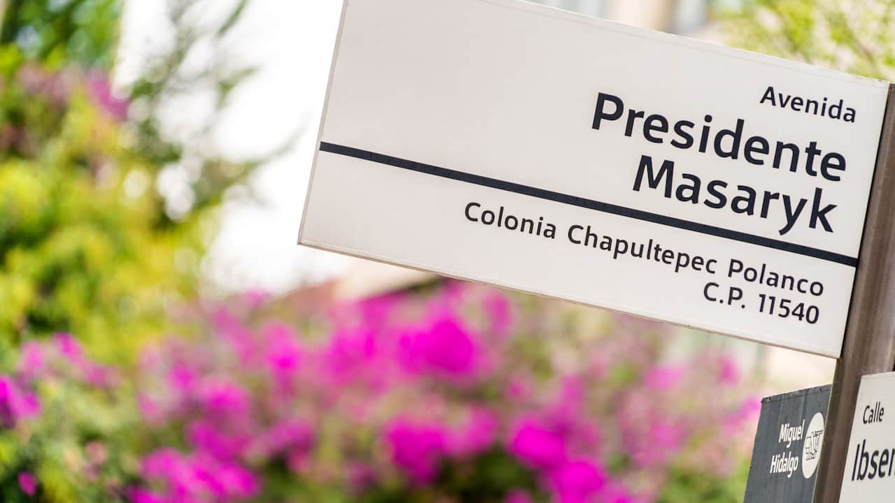 Presidente Masaryk Avenue in the Polanco neighborhood