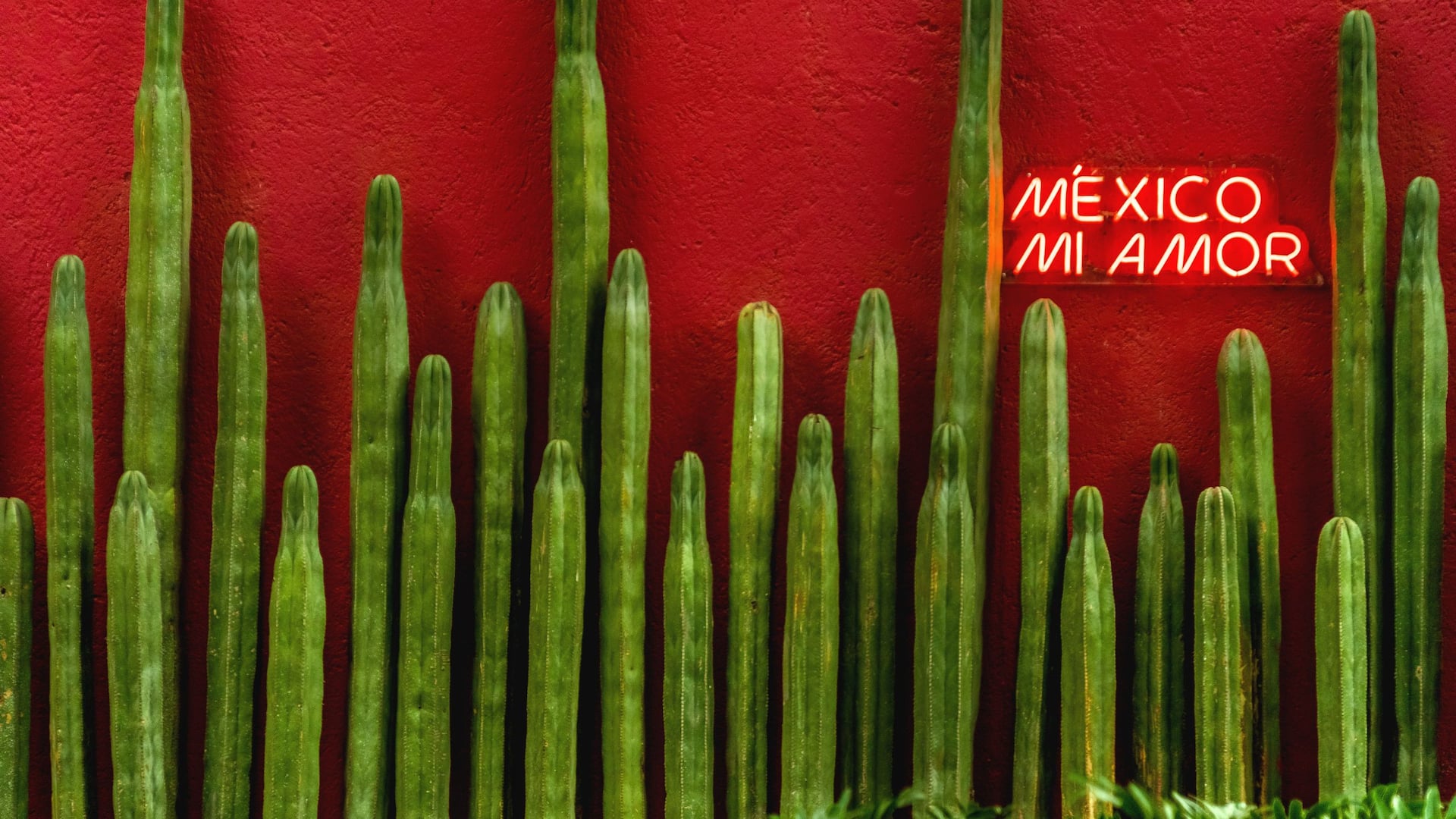 Hyatt Regency Mexico City Masaryk Wall