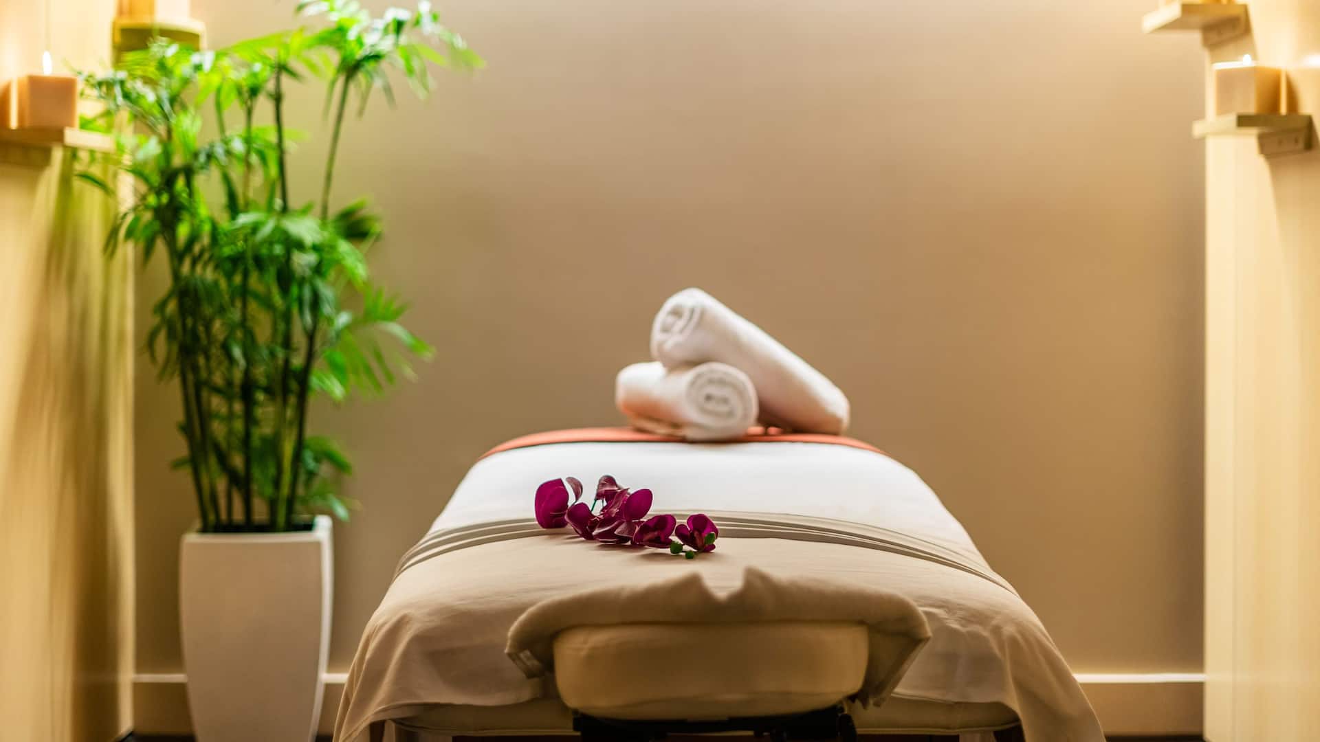 Hyatt Regency Mexico City Spa Cabin