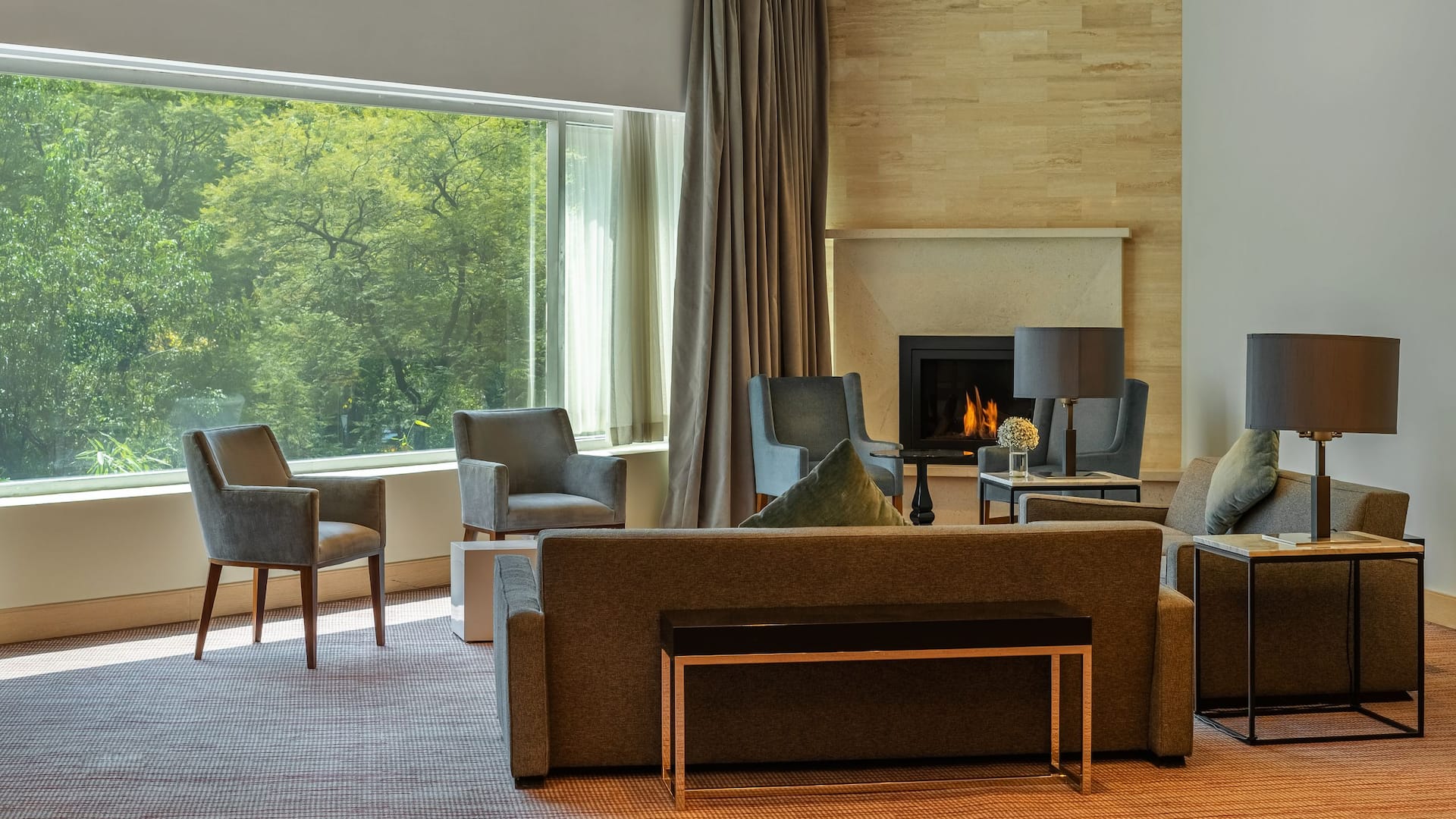 Hyatt Regency Mexico City Residence One Fireplace