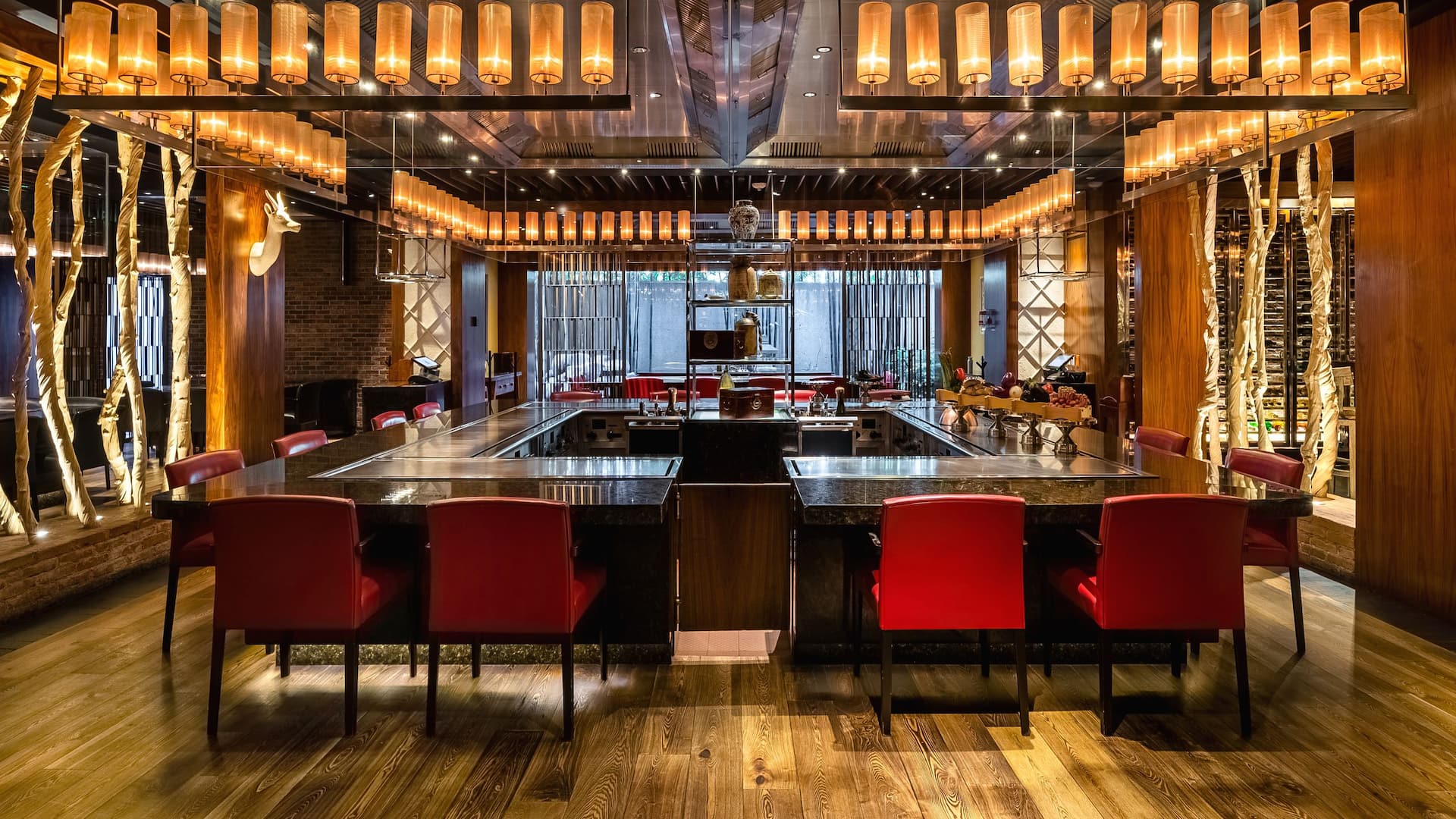 Hyatt Regency Mexico City Main Teppanyaki Table