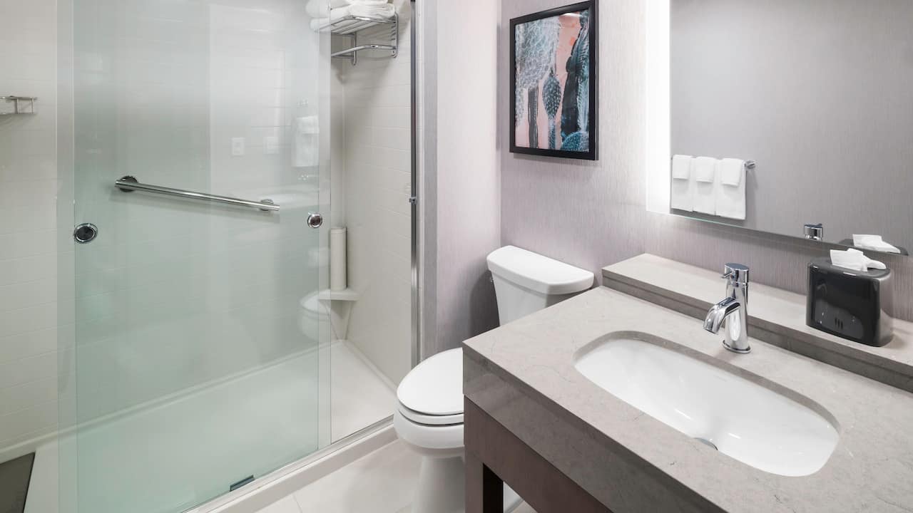 Den Guestroom Bathroom