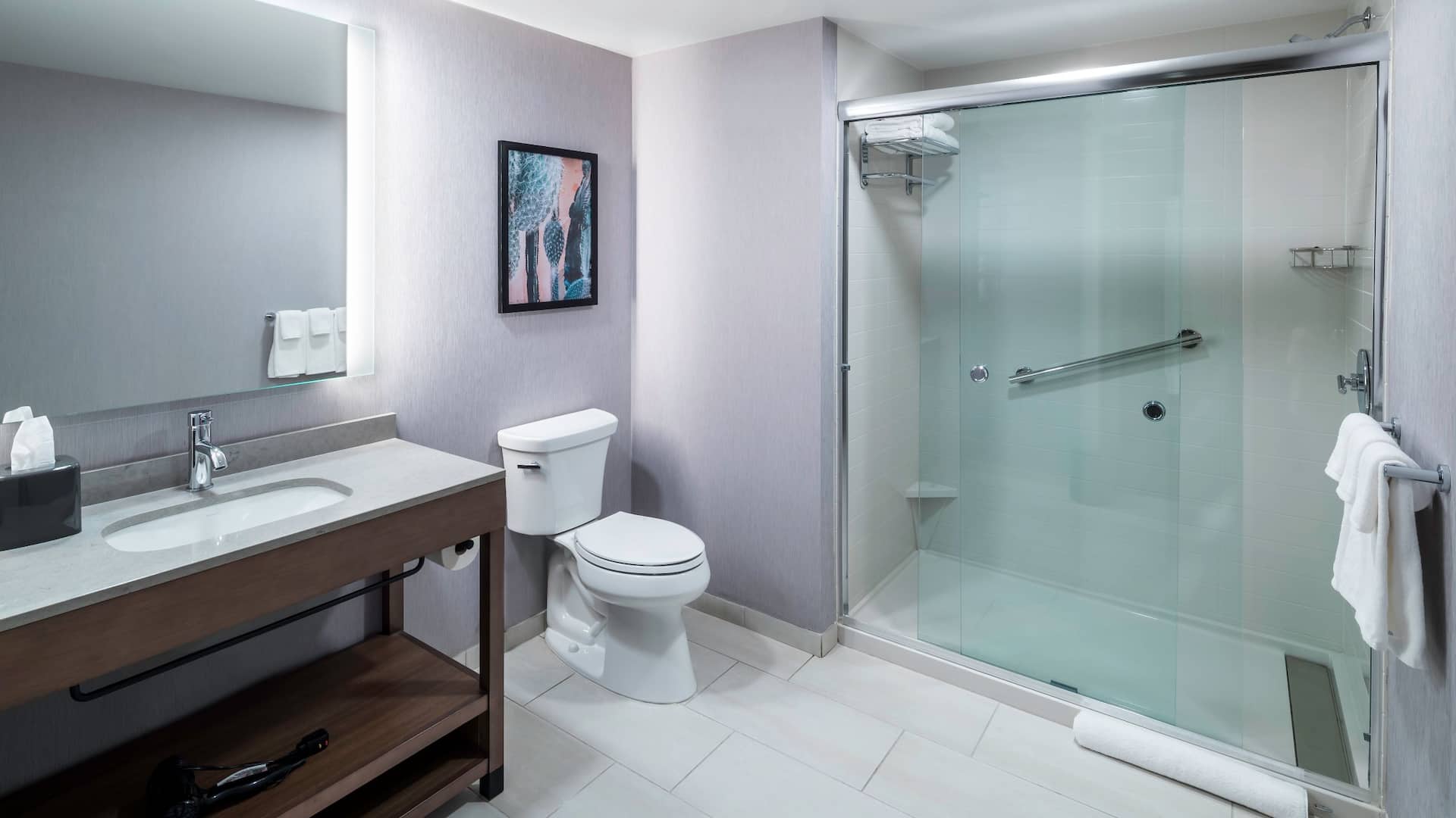 4 of 4 Hyatt Place Tempe / Phoenix / University Specialty King Bed Plus Sofa Bed Bathroom