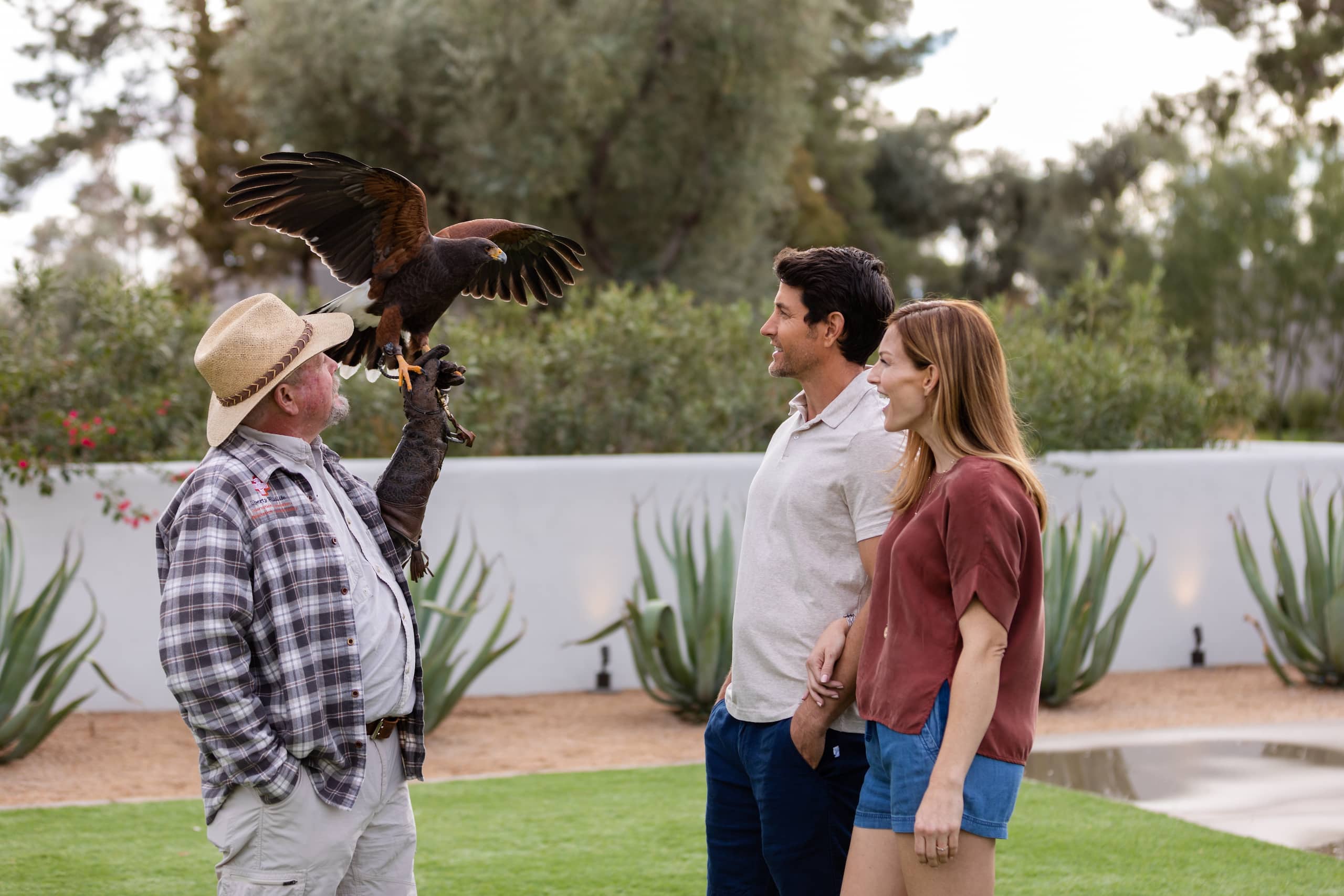 Andaz Scottsdale Resort & Bungalows Birds of Prey