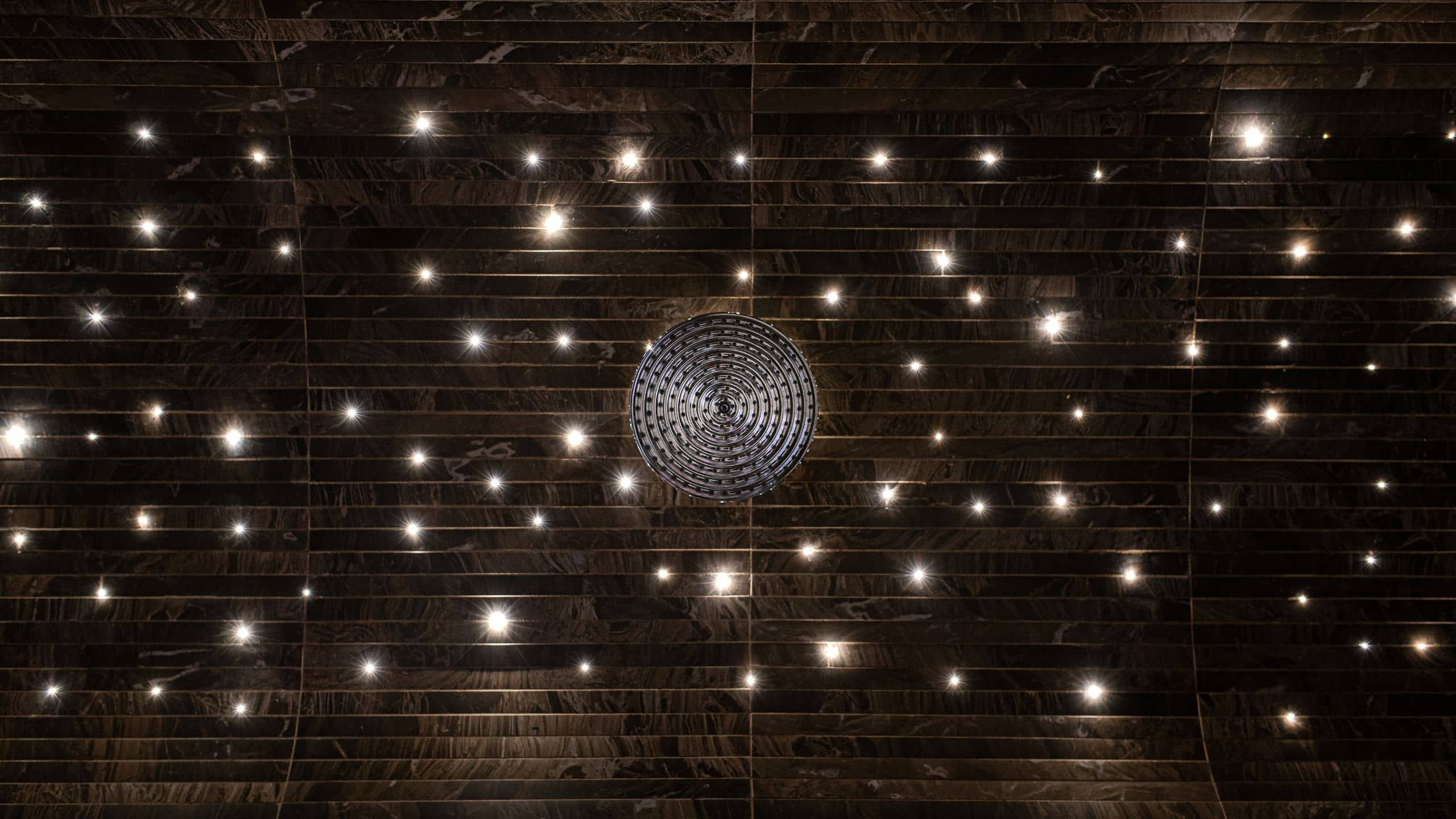 Hyatt Centric Murano Venice Grande Suite Steam Room Shower Ceiling