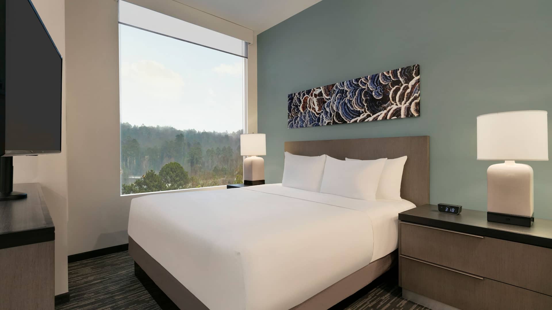 Hyatt House Atlanta / Perimeter Center One King Studio