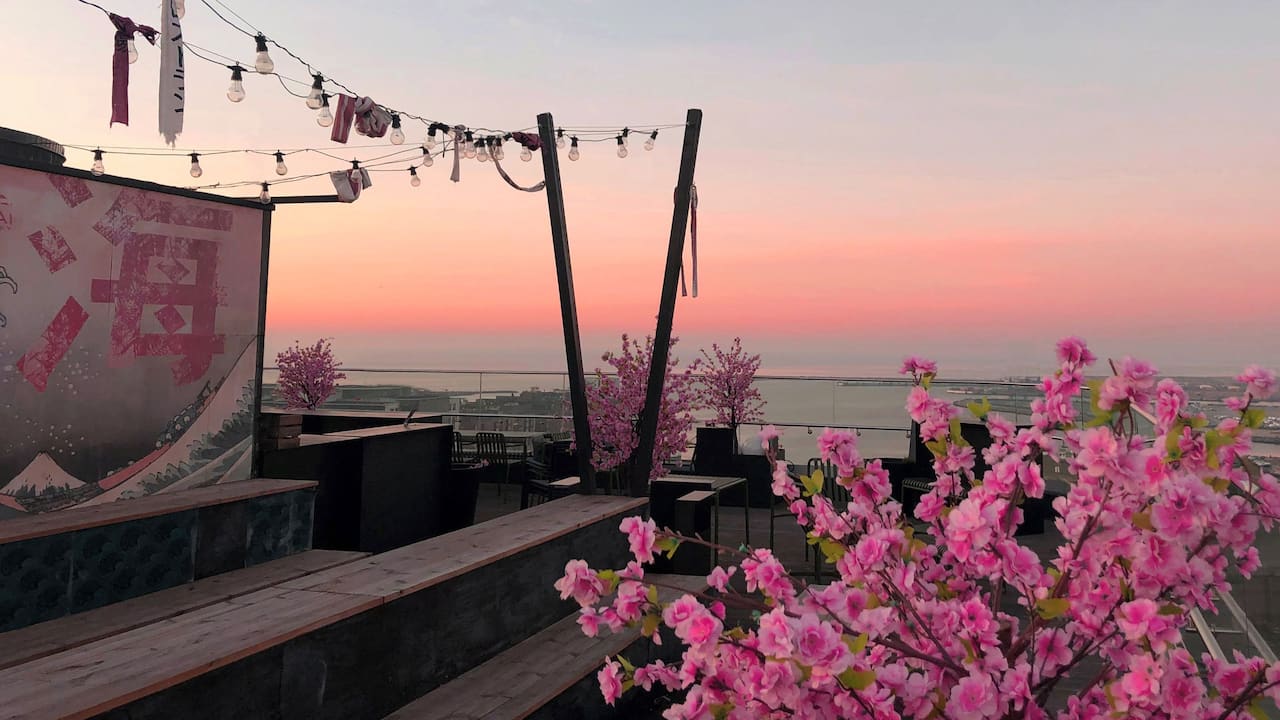 Roof top seating area and pink flowers in Sunset