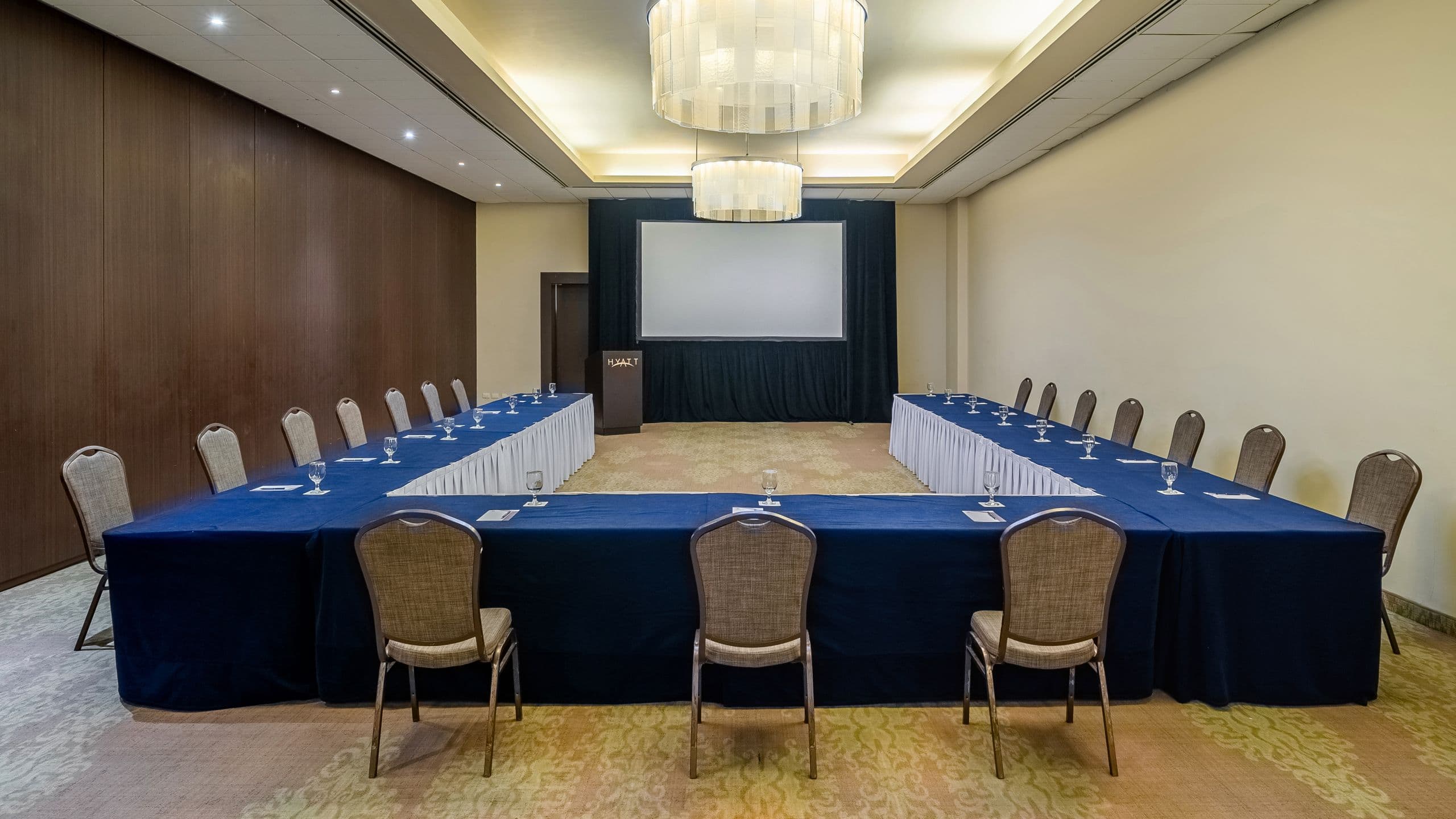 Hyatt Regency Merida U Shape Setup With Screen Regency