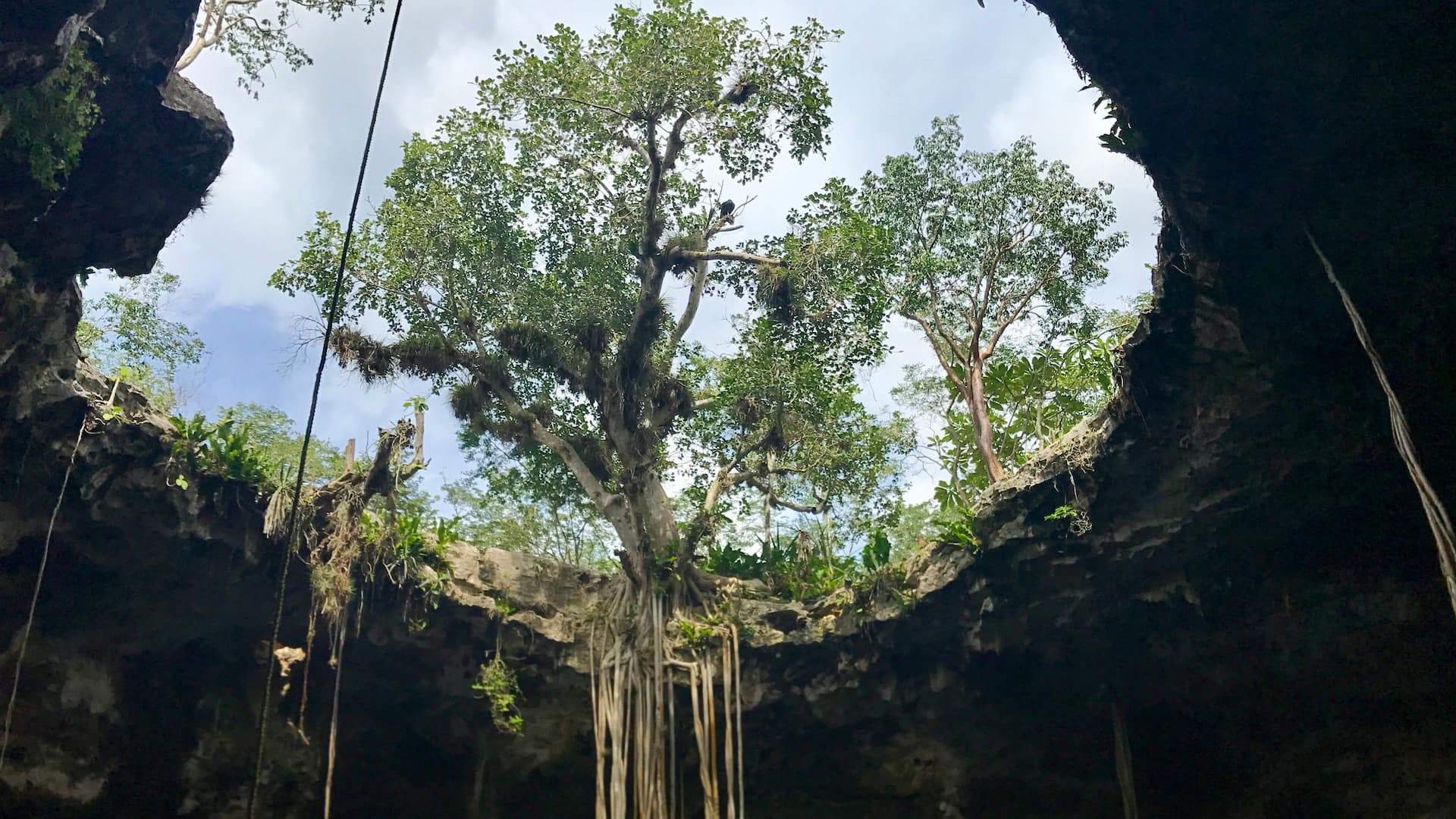 Hyatt Regency Merida Homun Cenotes Santa Barbara