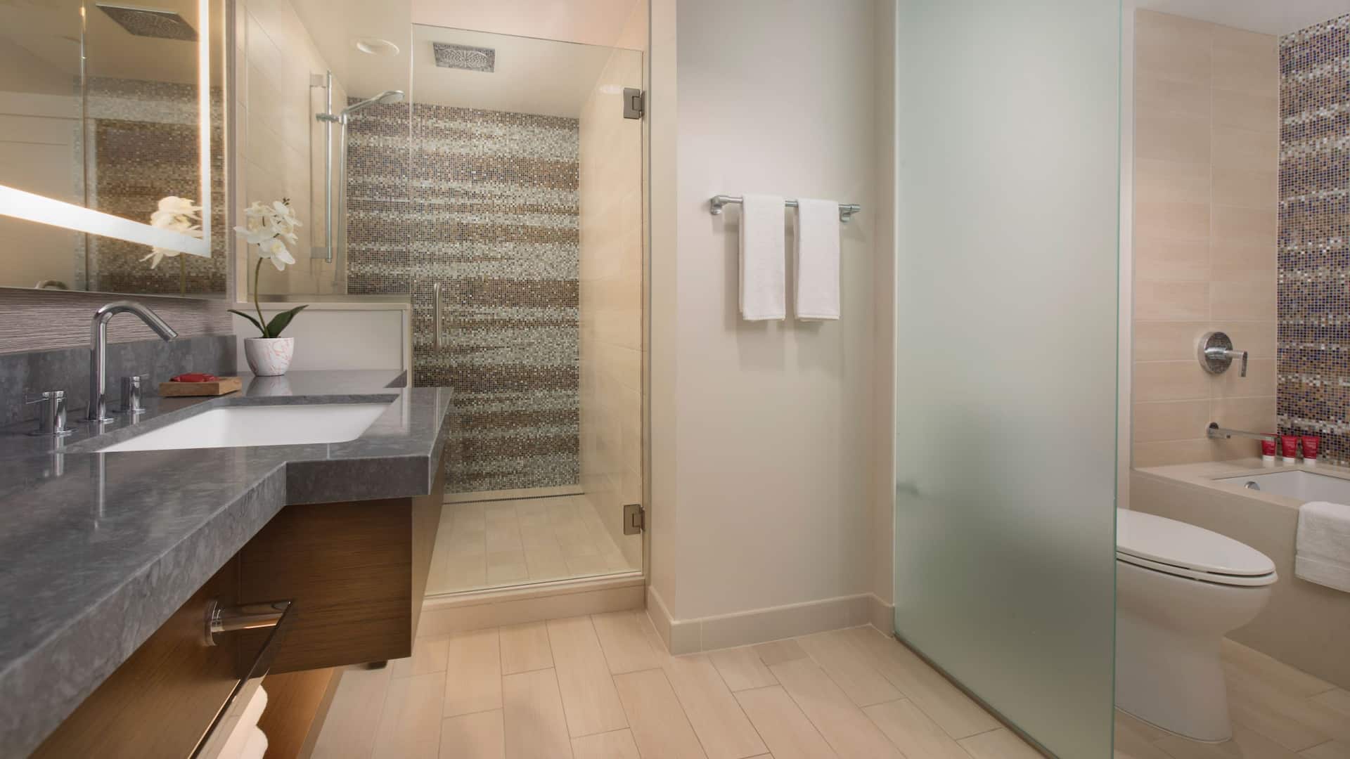 3/4 Hyatt Regency Maui Resort and Spa Ocean Suite Bathroom