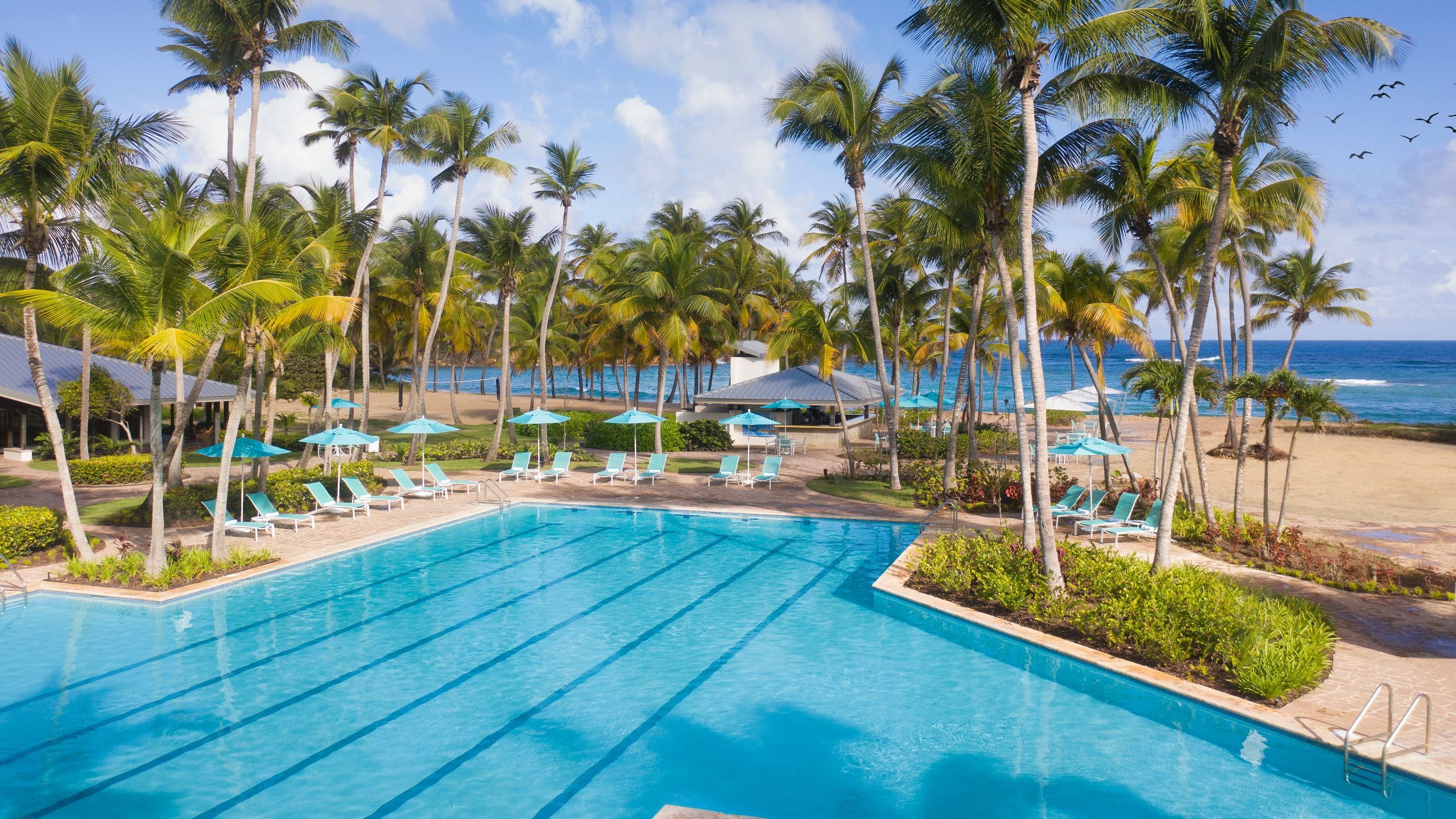 Hyatt Residence Club Dorado, Hacienda del Mar Pool