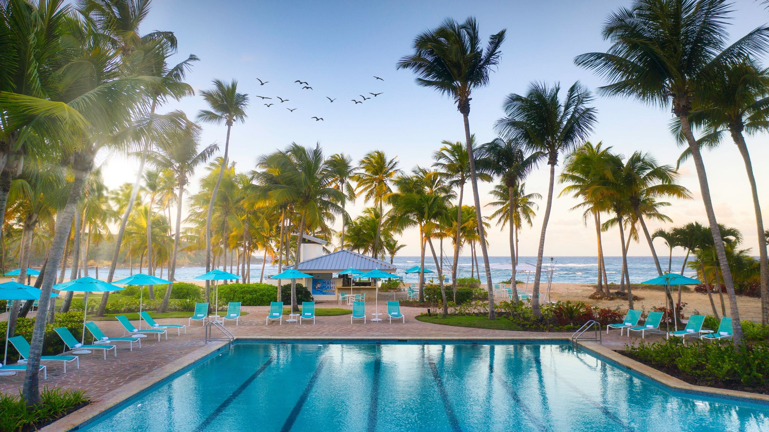 Hyatt Residence Club Dorado, Hacienda del Mar Pool Dusk