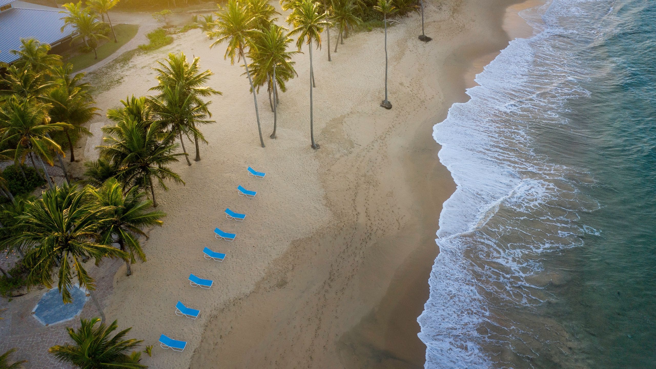 Hyatt Residence Club Dorado, Hacienda del Mar Beach Above