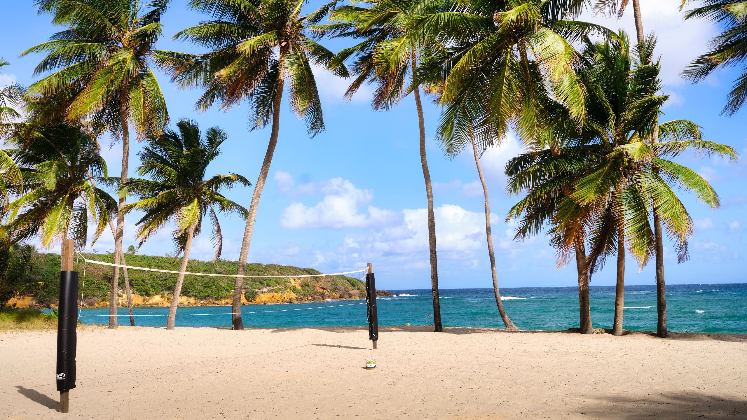 Hyatt Residence Club Dorado, Hacienda del Mar Beach Volleyball Daytime