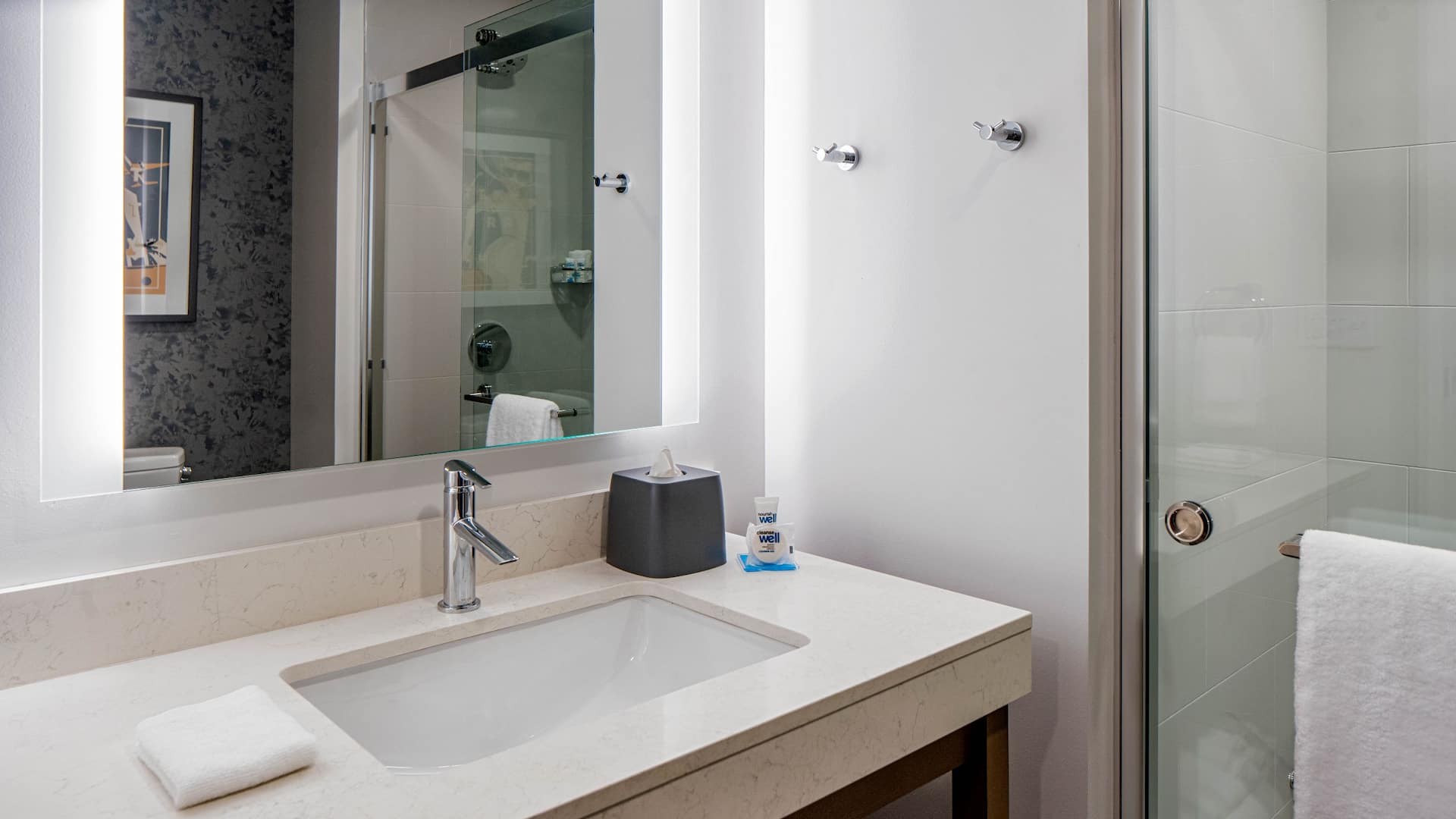 3 из 3 Hyatt House Tampa Downtown Bathroom