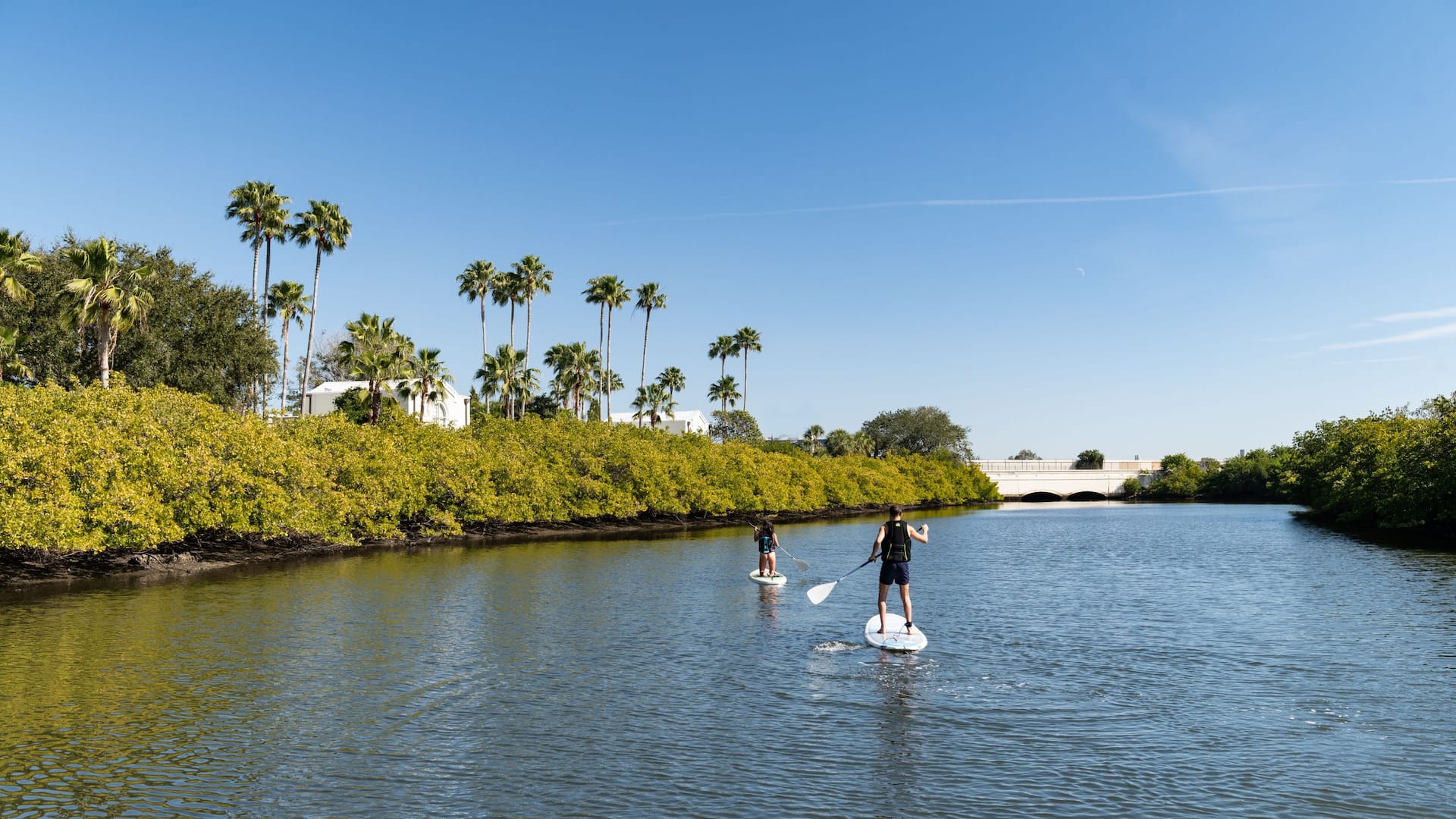 Grand Hyatt Tampa Bay Paddle Boarding Couple Trees