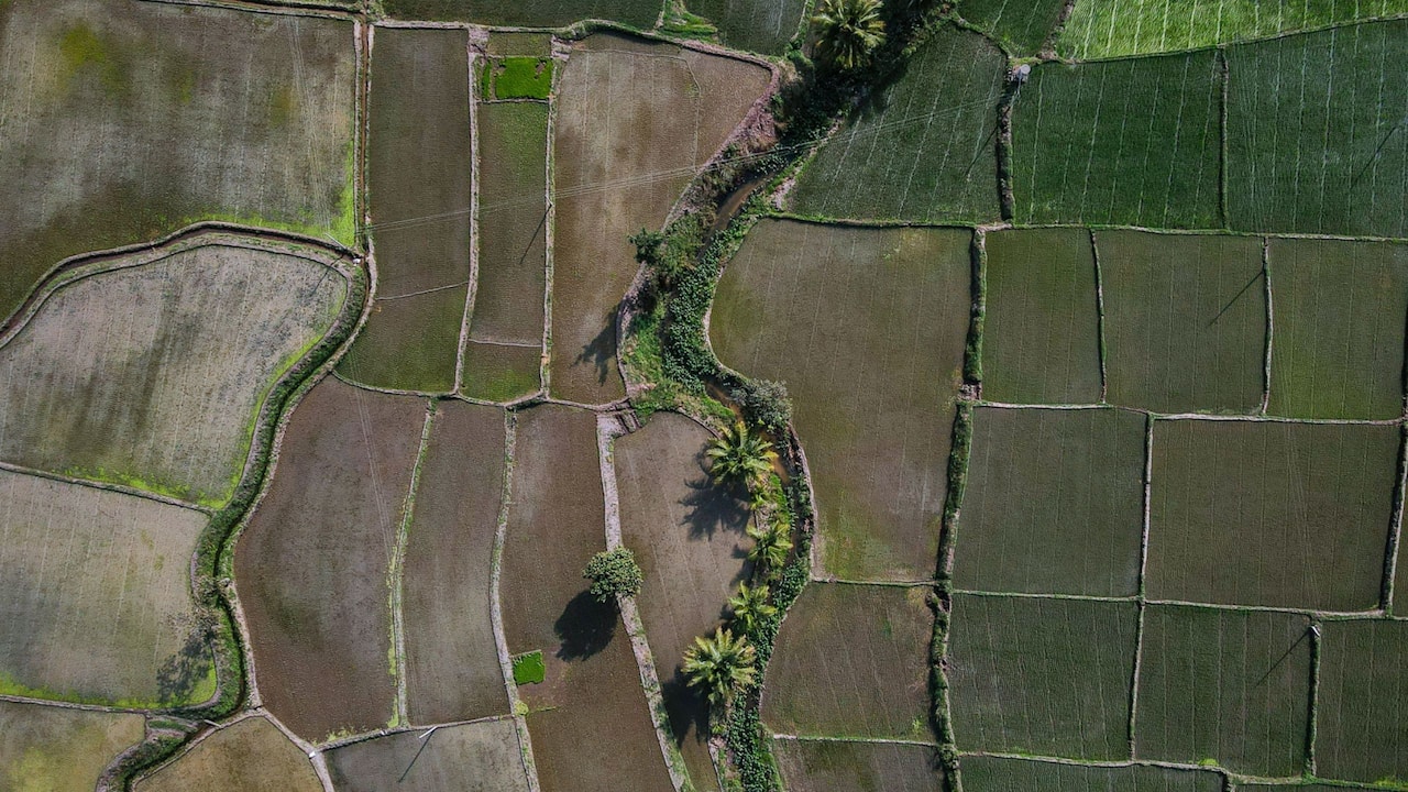 Hampi Fields