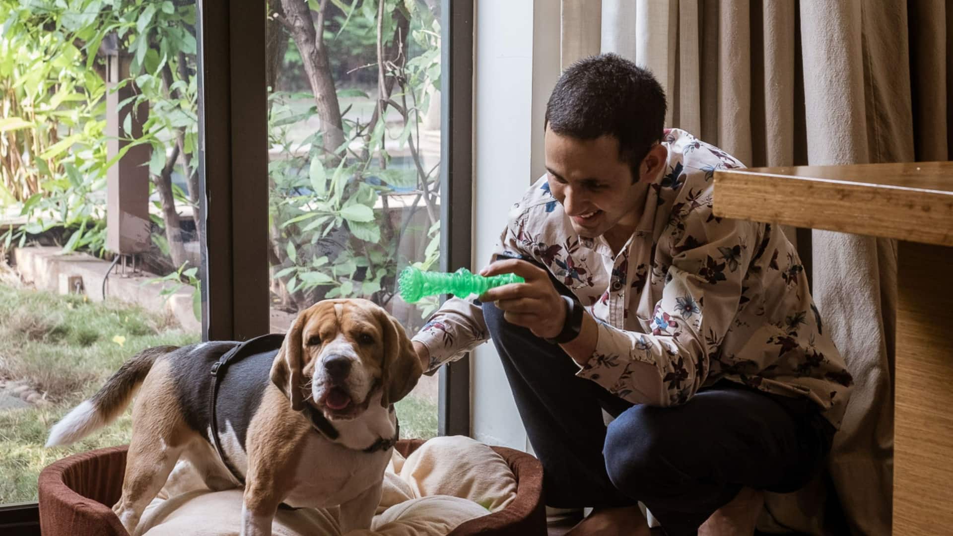 Hyatt Place Hampi Man Pet Room