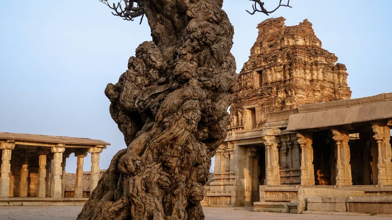 Vijaya Vithalla Temple