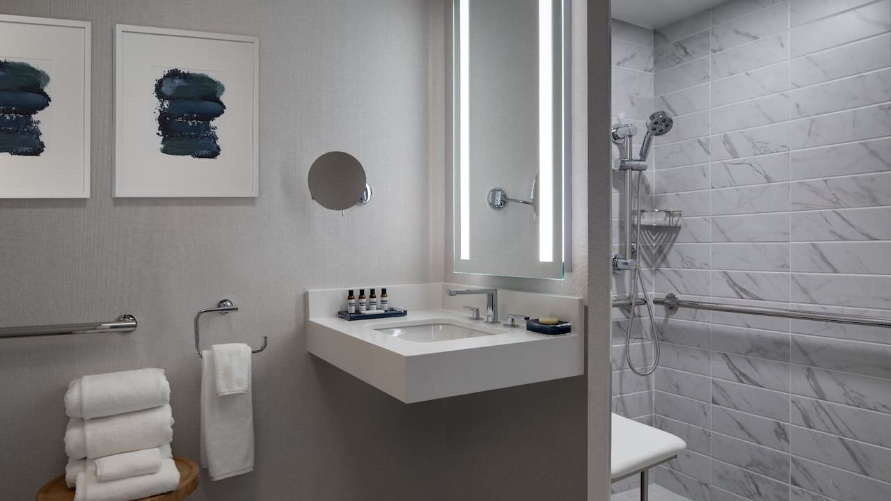 Accessible Bathroom Shower