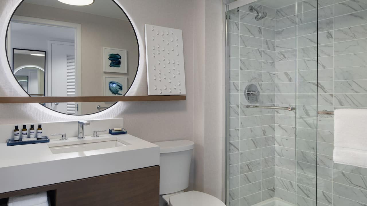 King Guestroom Bathroom