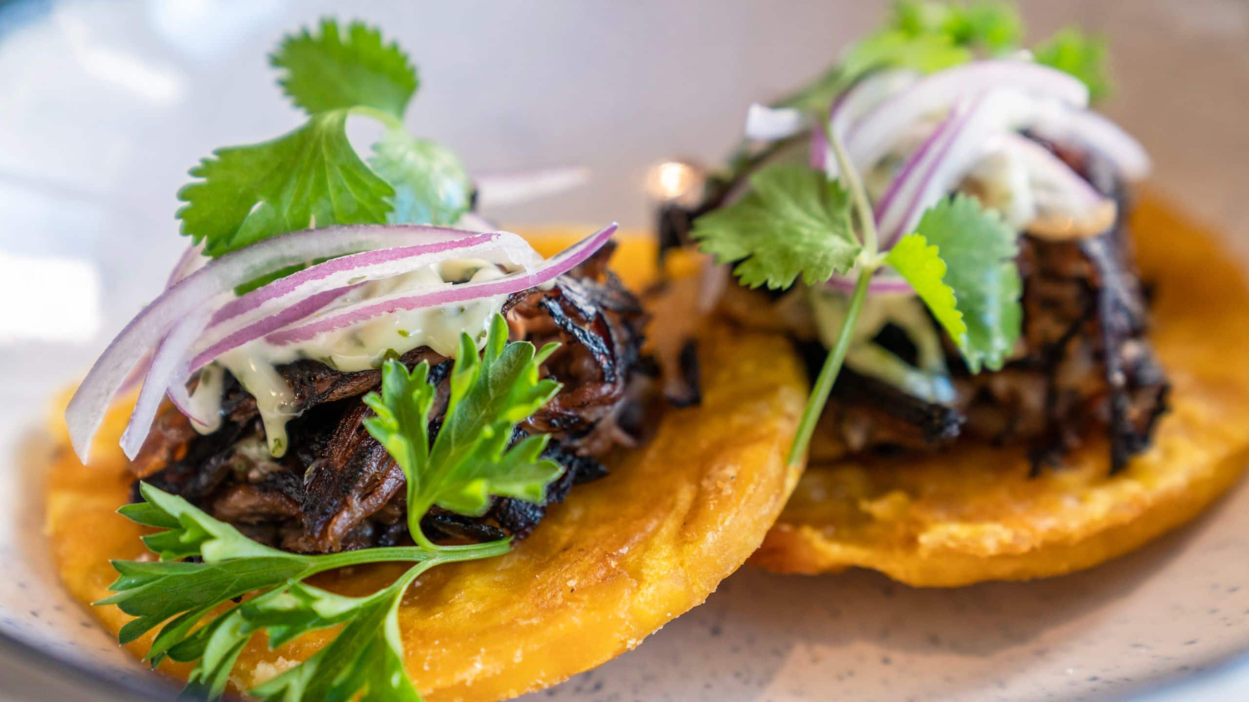 Hyatt Centric Brickell Miami Tostones With Vaca Frita
