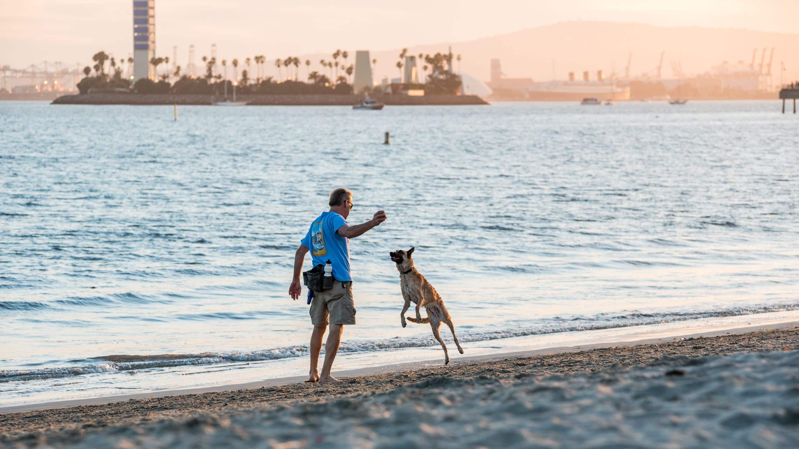 Hyatt Regency Long Beach Long Beach Dog Photo
