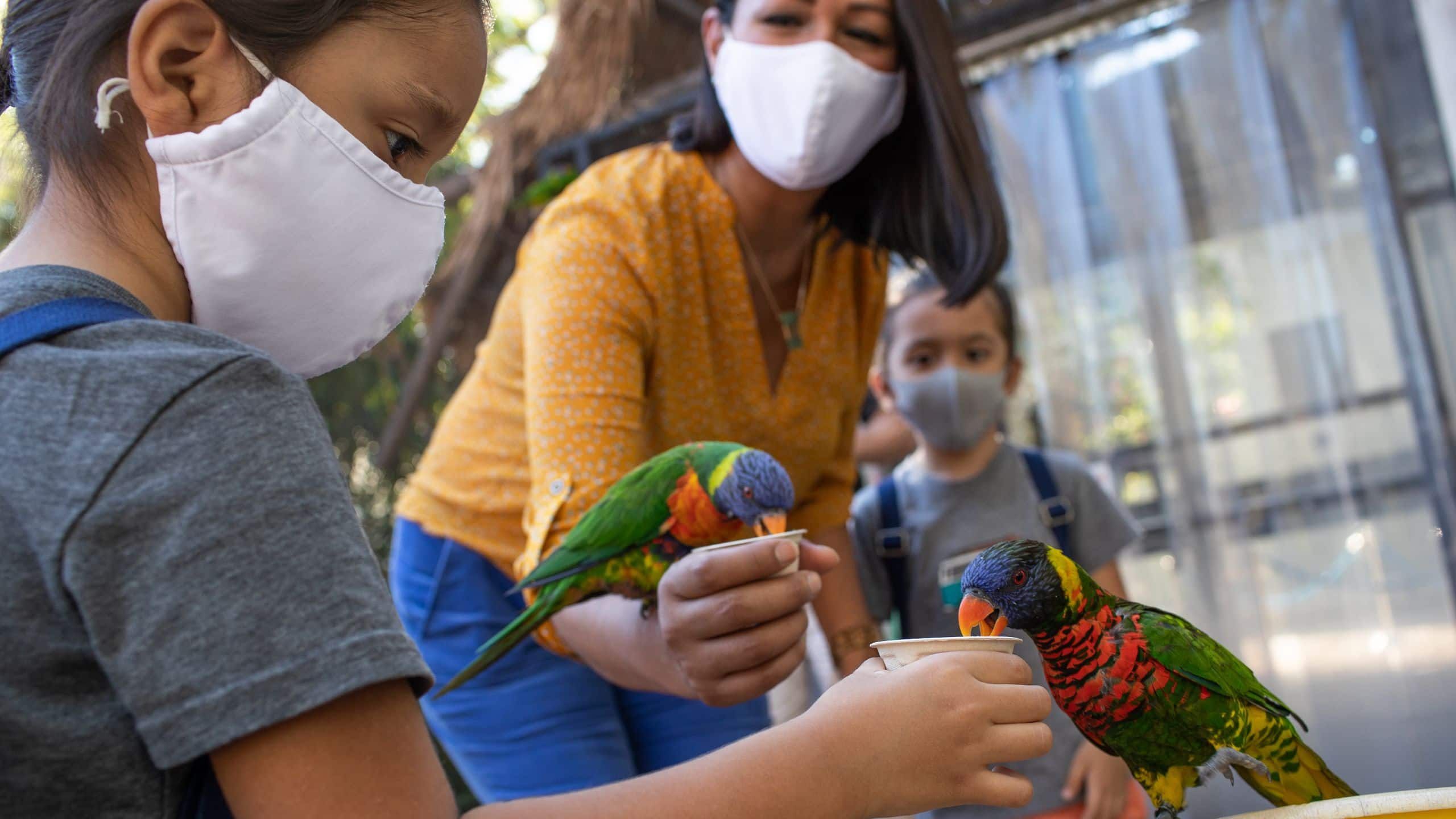 Hyatt Regency Long Beach Long Beach Family Activities