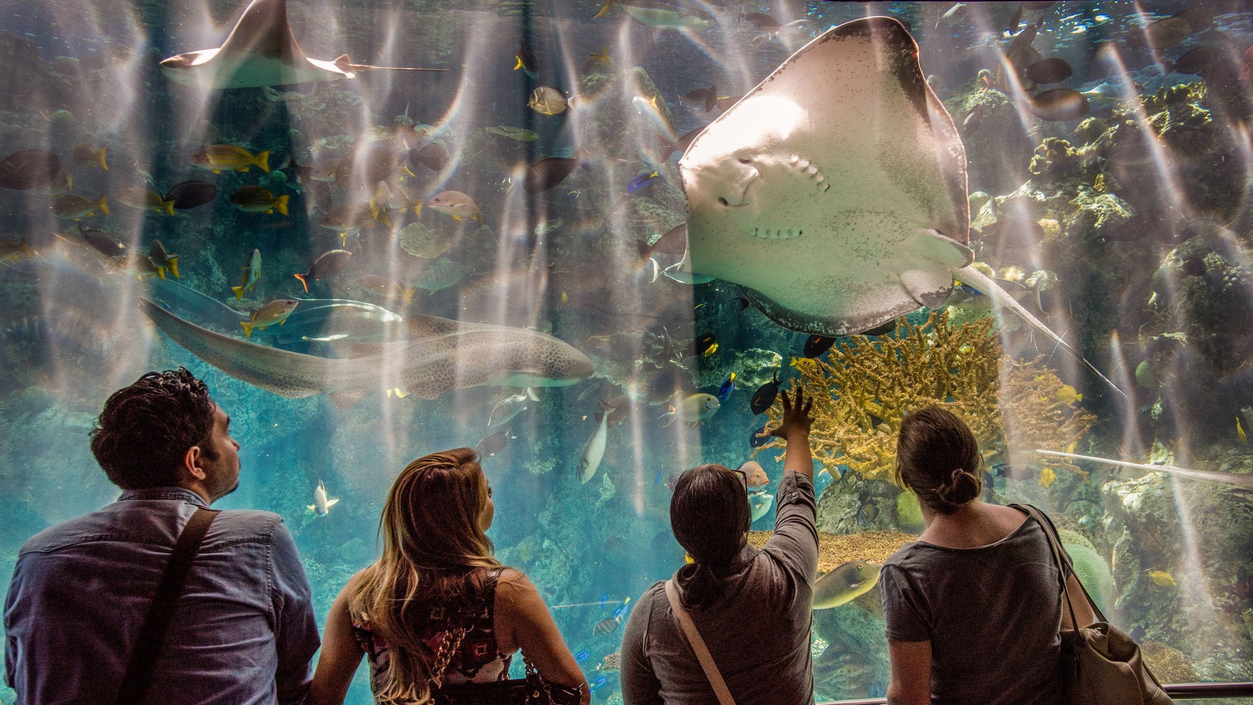 Hyatt Regency Long Beach Long Beach Aquarium