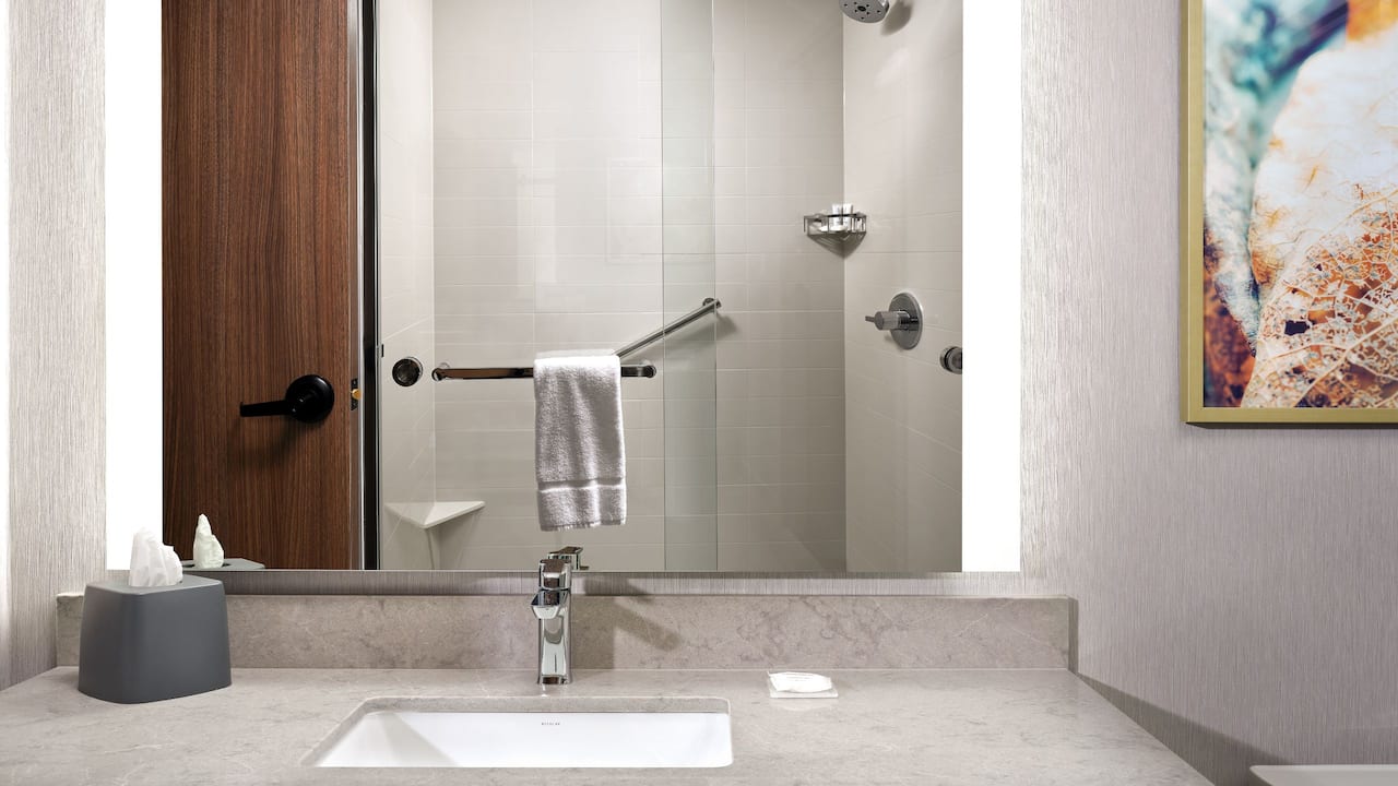 Suite Bathroom