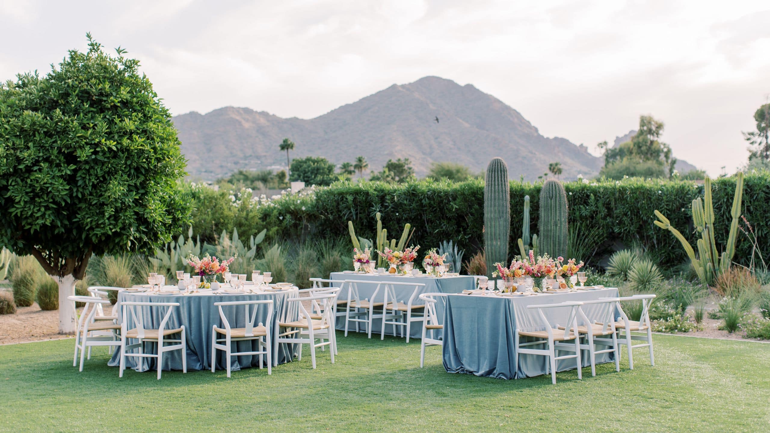 Andaz Scottsdale Resort & Bungalows Wedding Cholla Lawn Reception Dinner