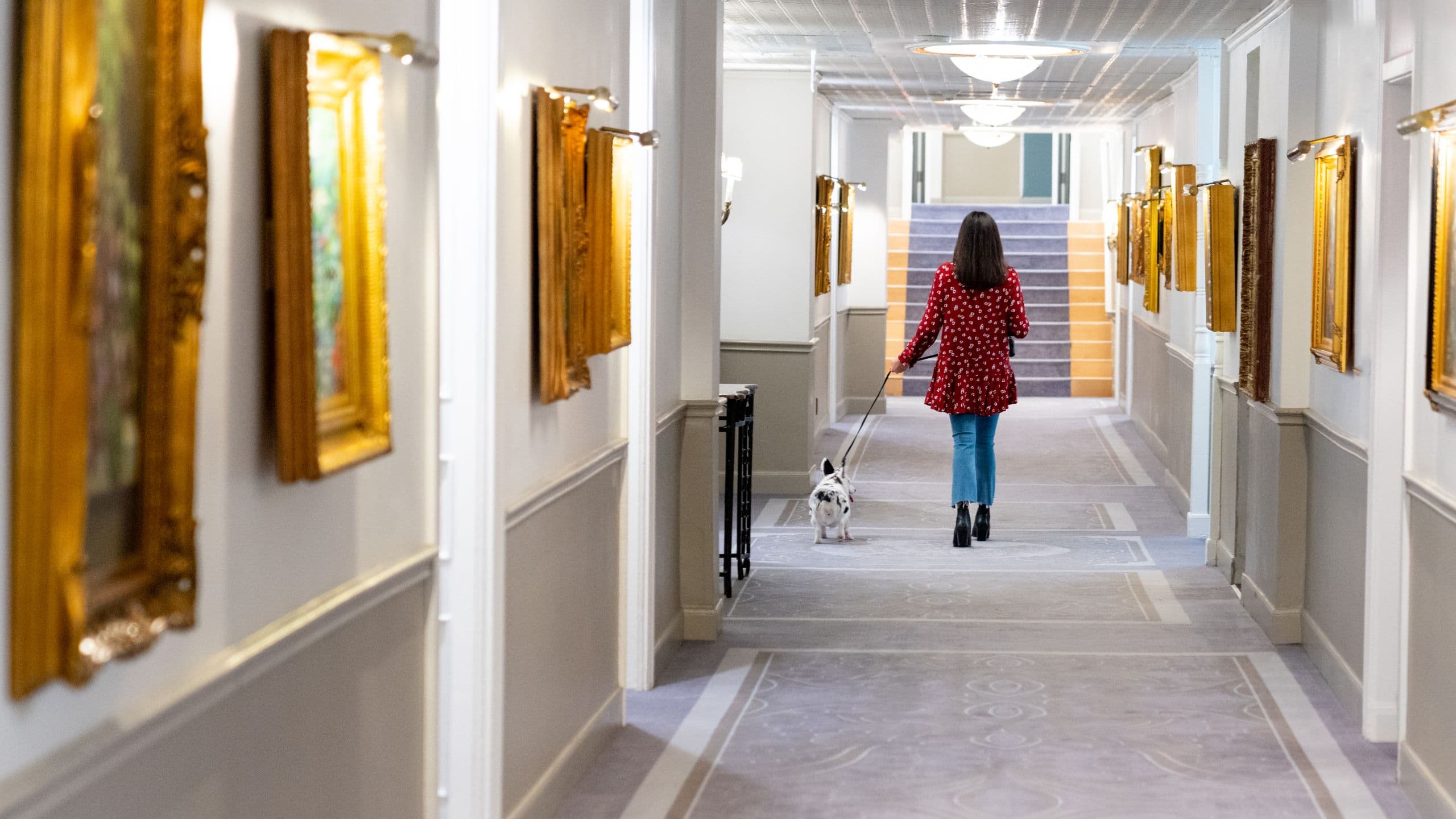 The Driskill Pet Friendly Hallway