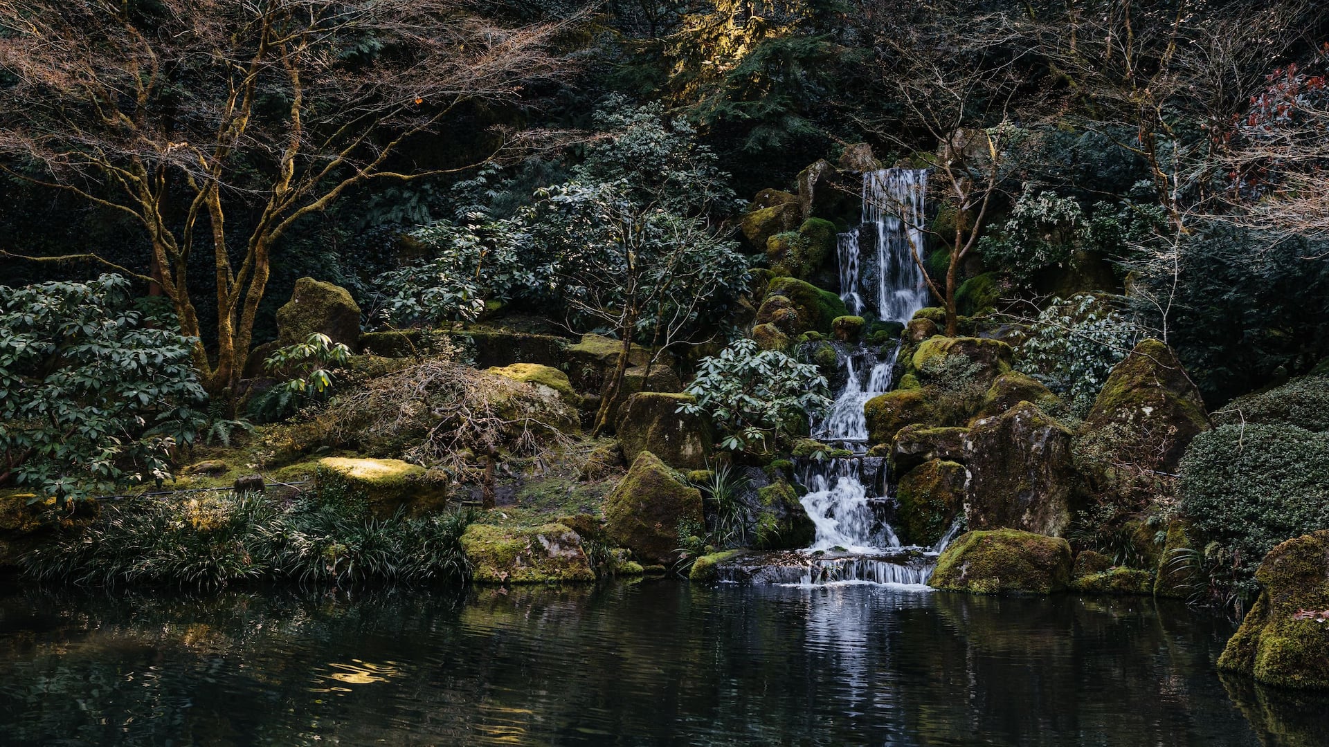 Hyatt Regency Portland at the Oregon Convention Center Japanese Garden Waterfall
