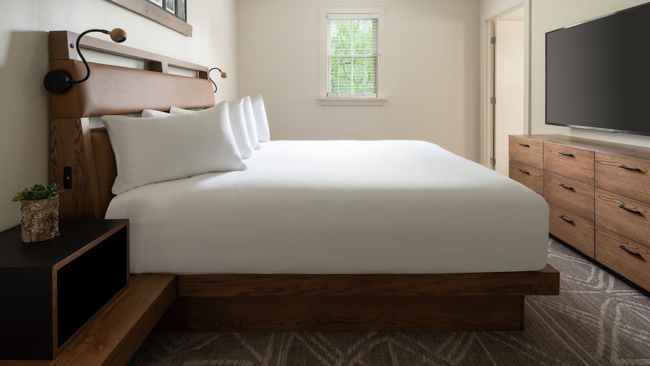 Family Suite Bedroom equipped with television and murphy bed