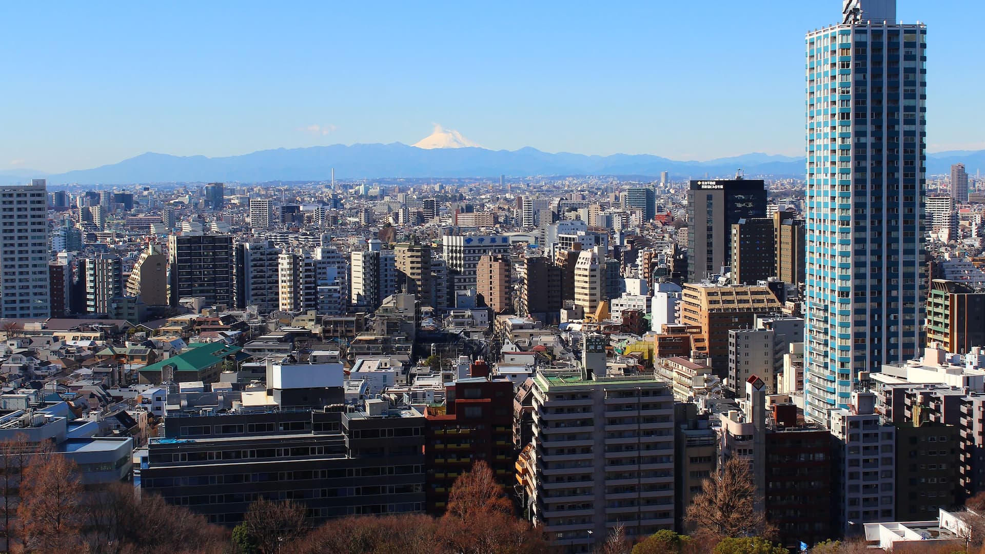 6/6 Hyatt Regency Tokyo Mt Fuji View