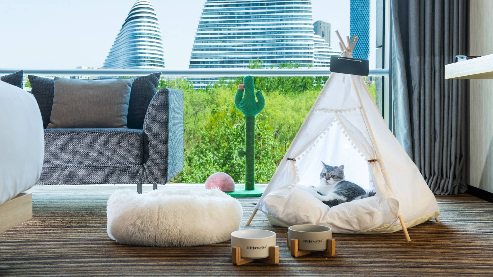 Hyatt Regency Beijing Wangjing Petcation Experience Set up