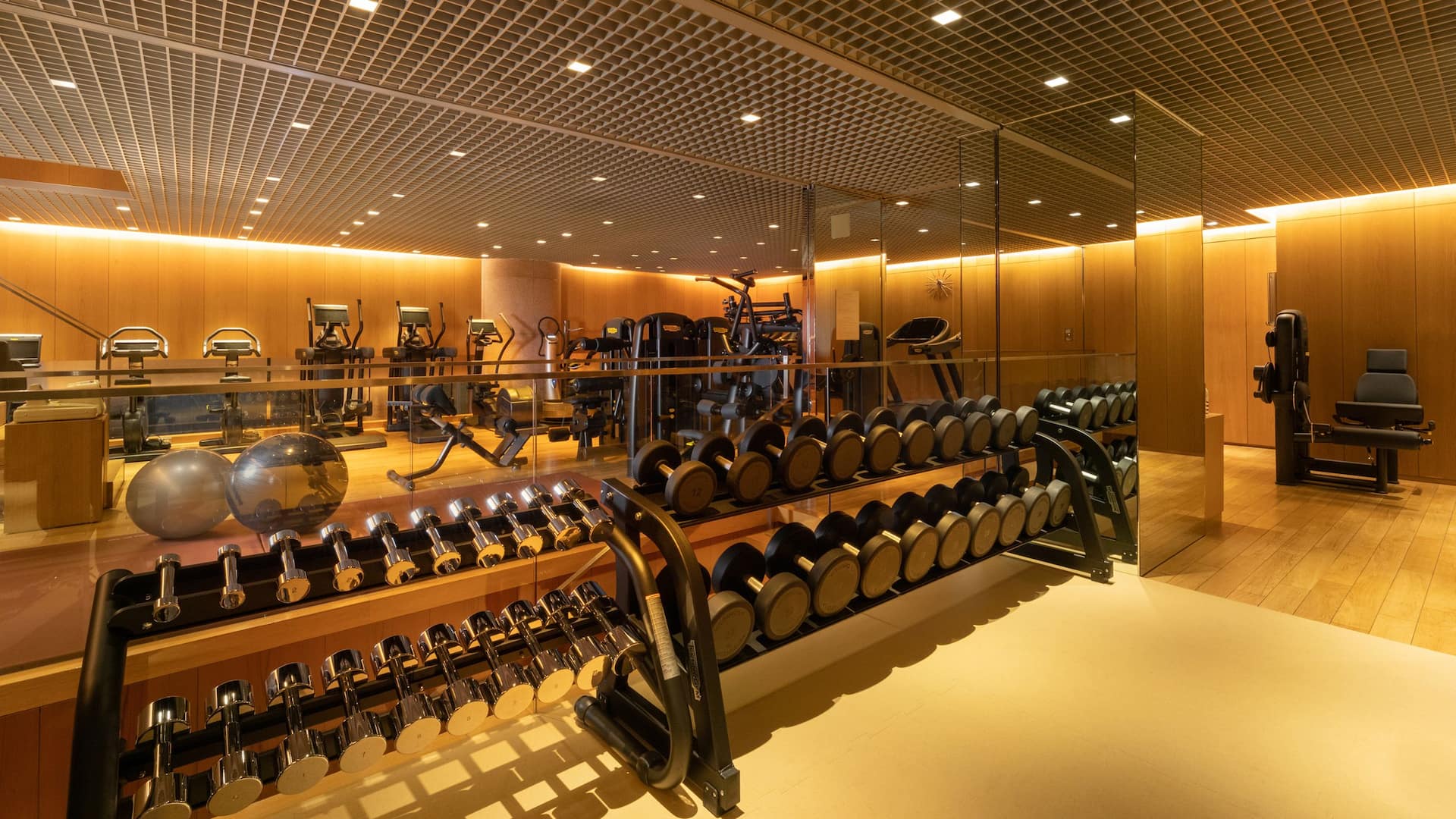 Grand Hyatt Tokyo Fitness Room Weights