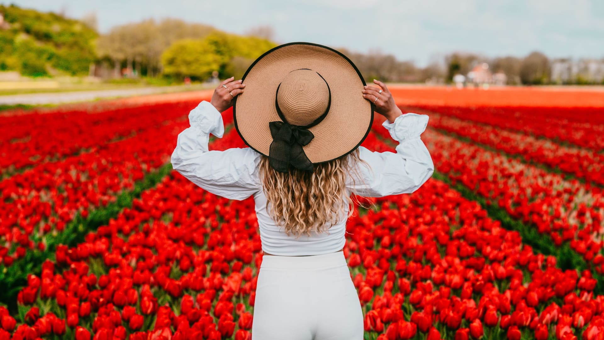 Hyatt Place Amsterdam Airport Keukenhof Gardens Flying Hat