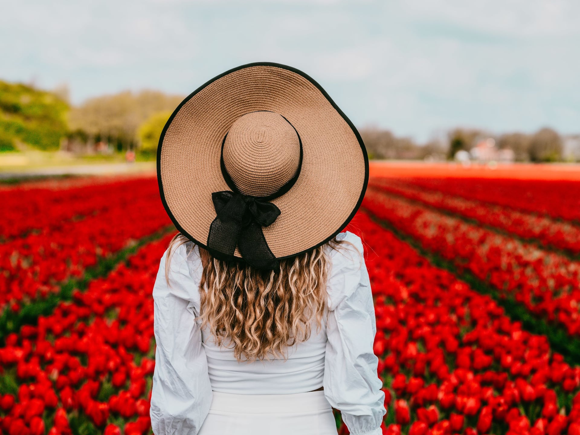 Hyatt Place Amsterdam Airport Keukenhof Gardens Walk In