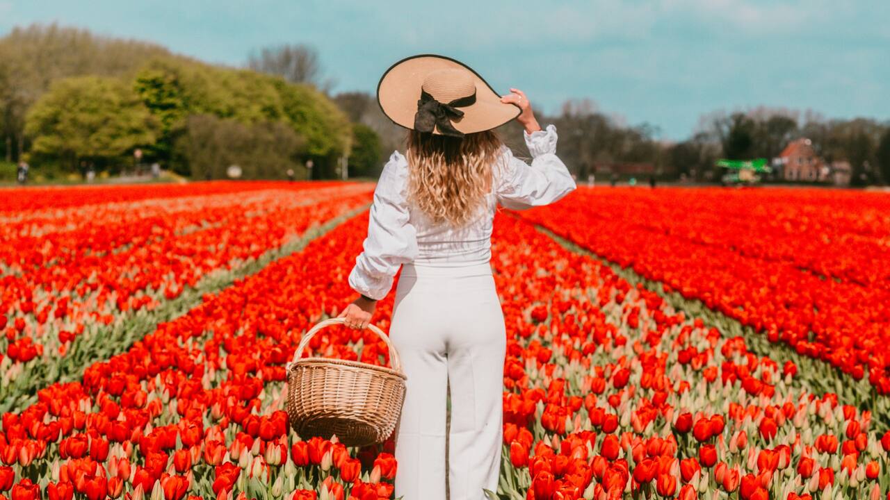 Hyatt Place Amsterdam Airport - Tulip Gardens