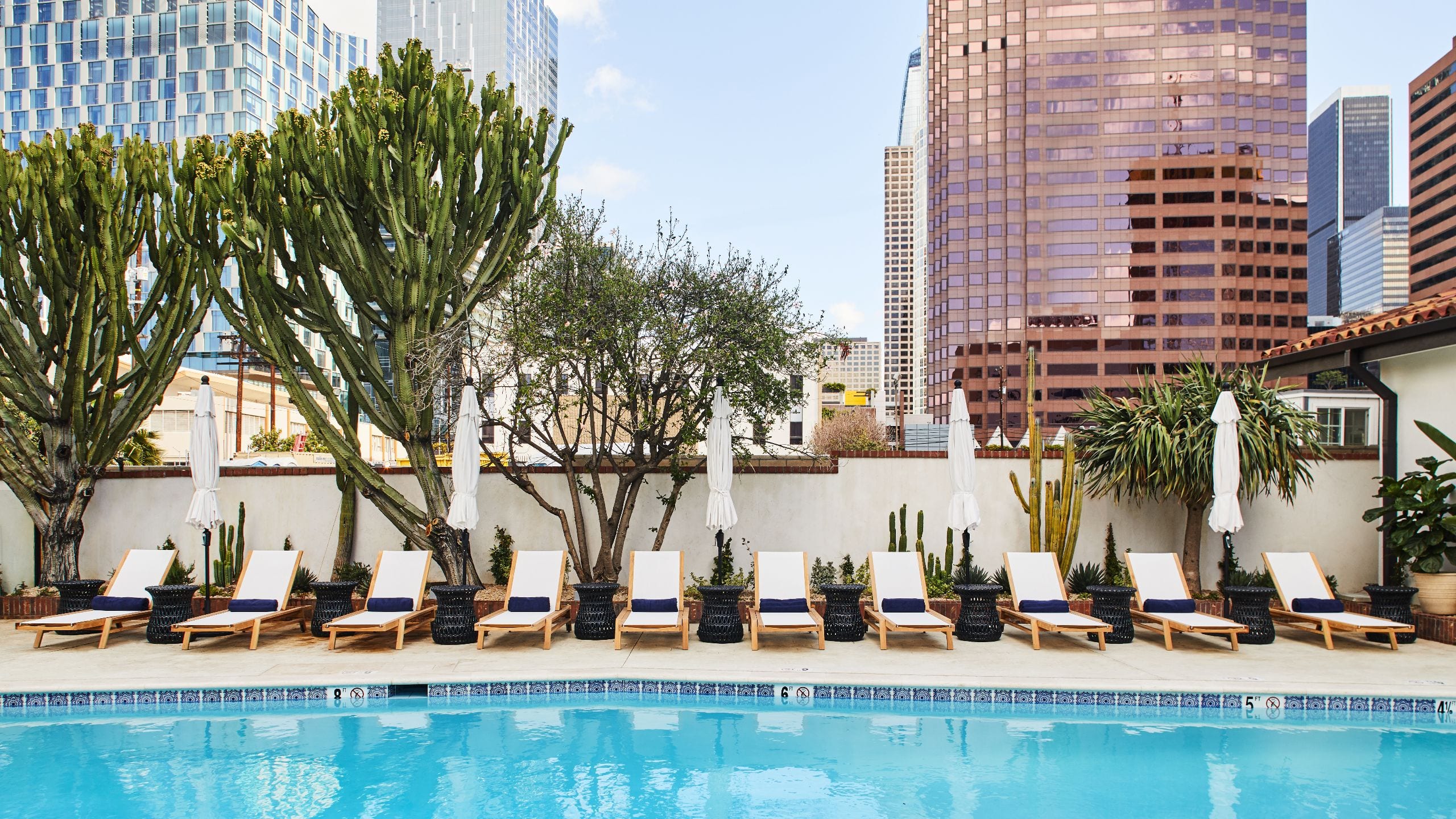 Hotel Figueroa Iconic Pool