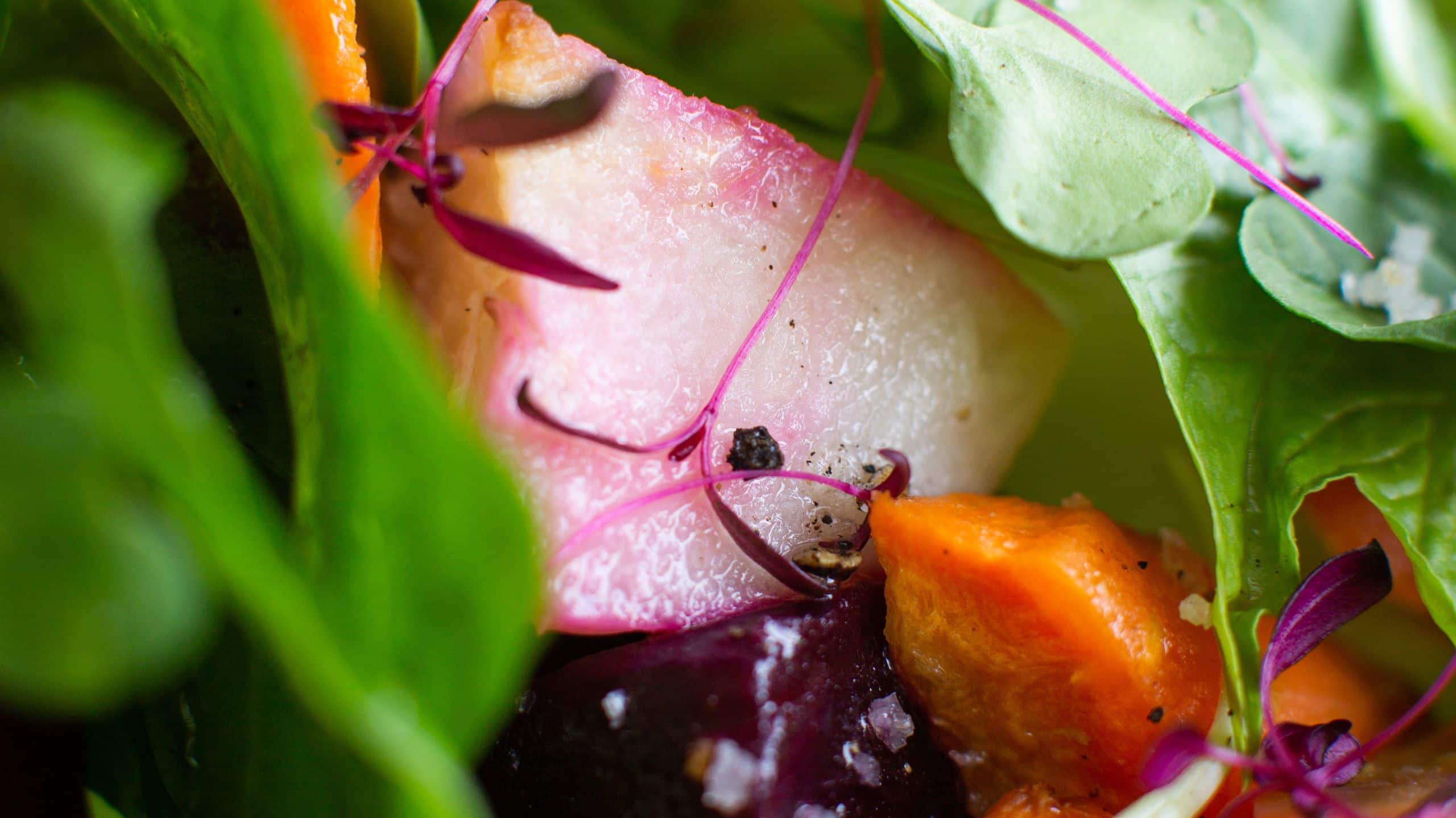 Global GLOBAL_P0367 Salad Close-up