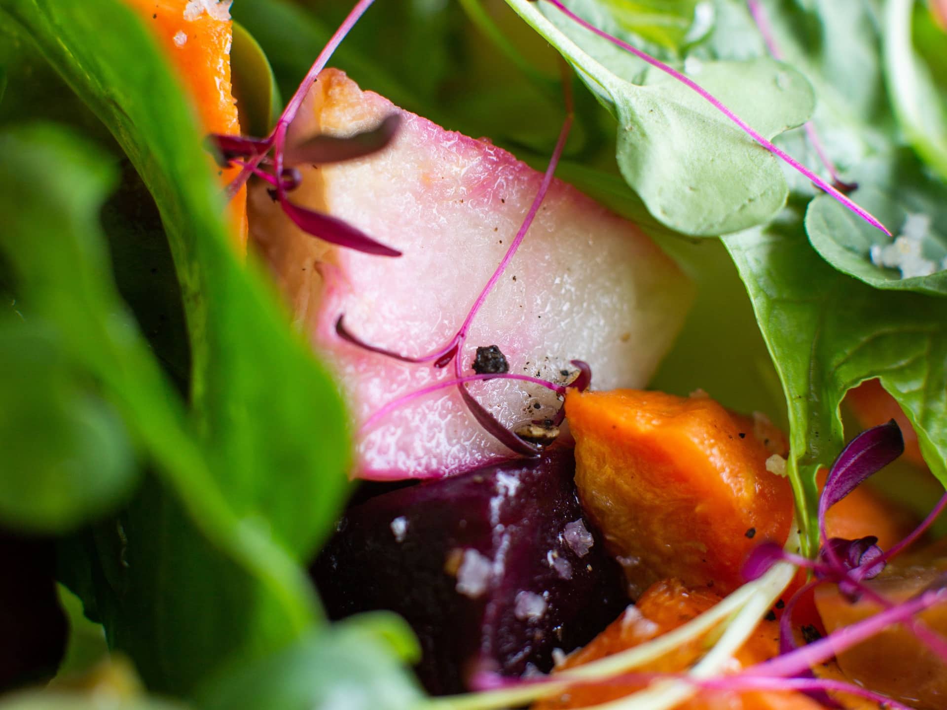 Global GLOBAL_P0367 Salad Close-up