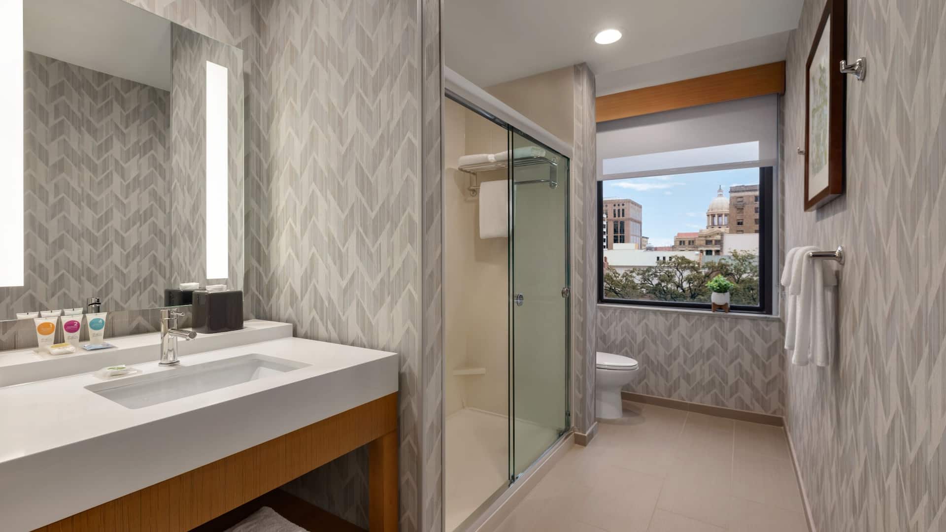 3 из 3 Hyatt Place Houston / Downtown One King Bed City View Bathroom