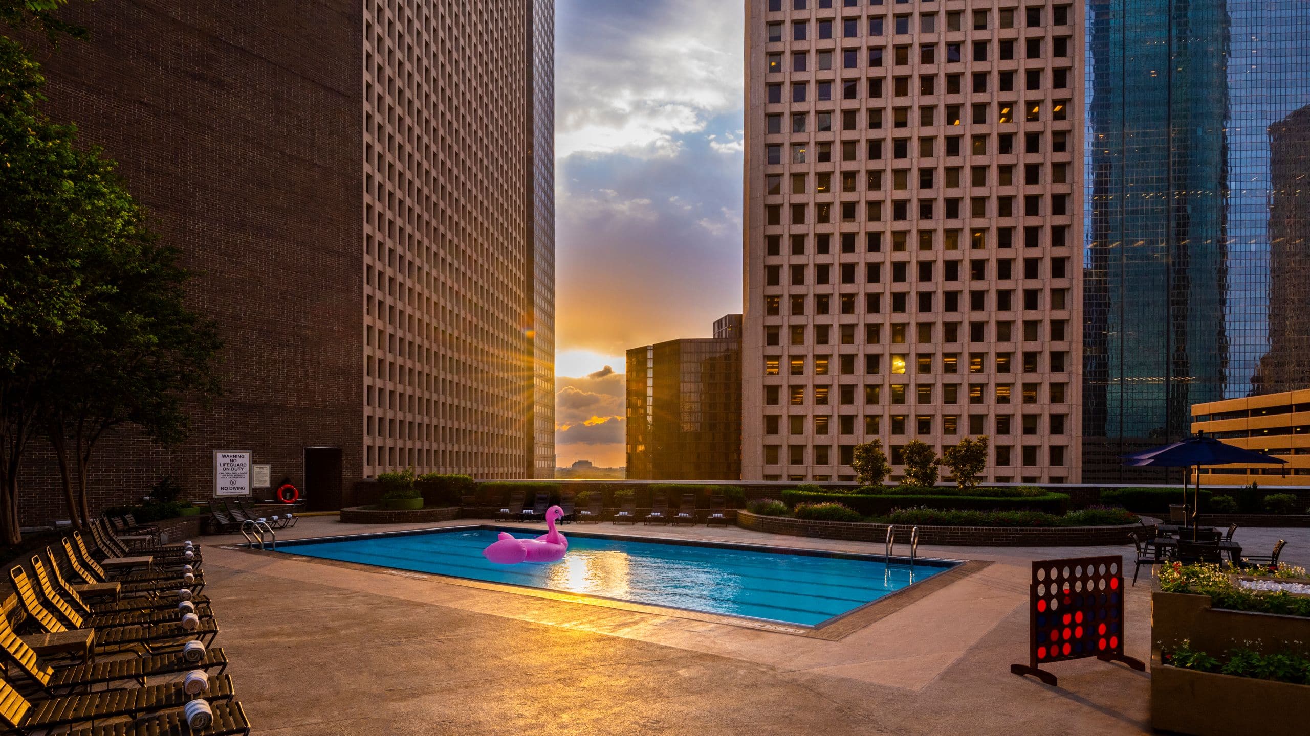 Hyatt Regency Houston Pool Deck Flamingo