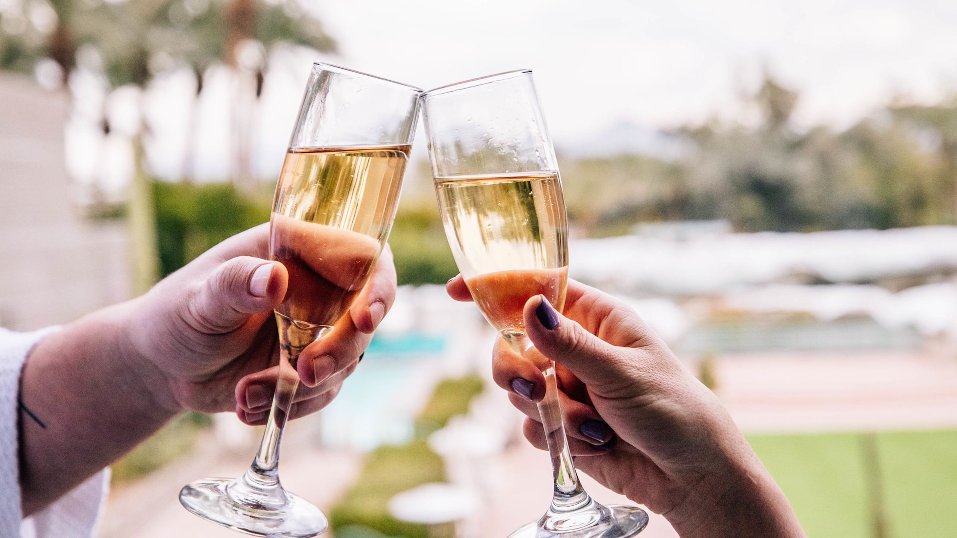 Hyatt Regency Scottsdale Resort & Spa at Gainey Ranch Cheers