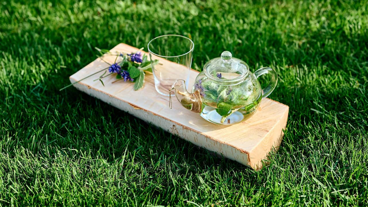 The Lounge Park Hyatt Niseko chefs garden herb tea