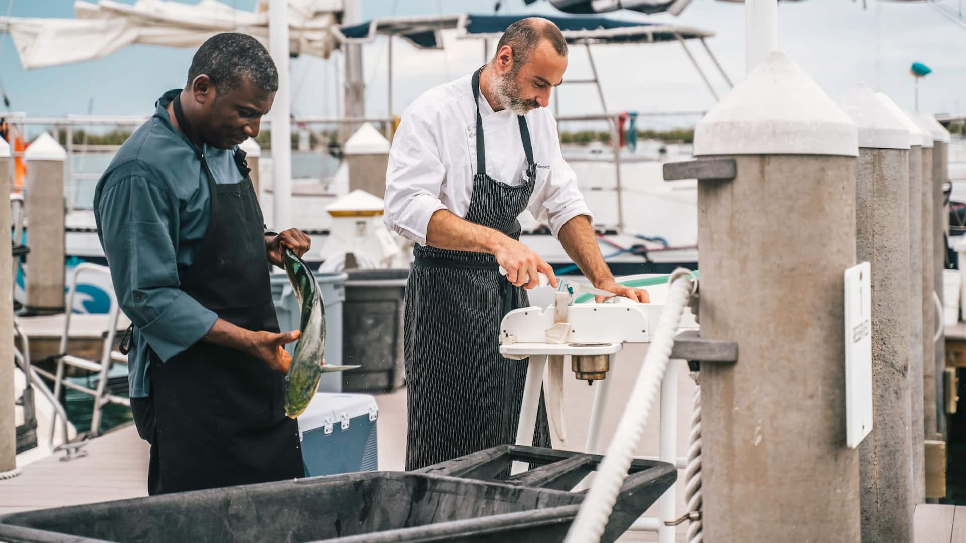 3 of 5 Hyatt Centric Key West Resort & Spa Chef Cutting Fish Landscape