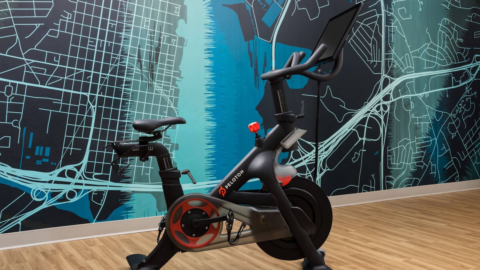 Hyatt Place National Harbor Fitness Bike