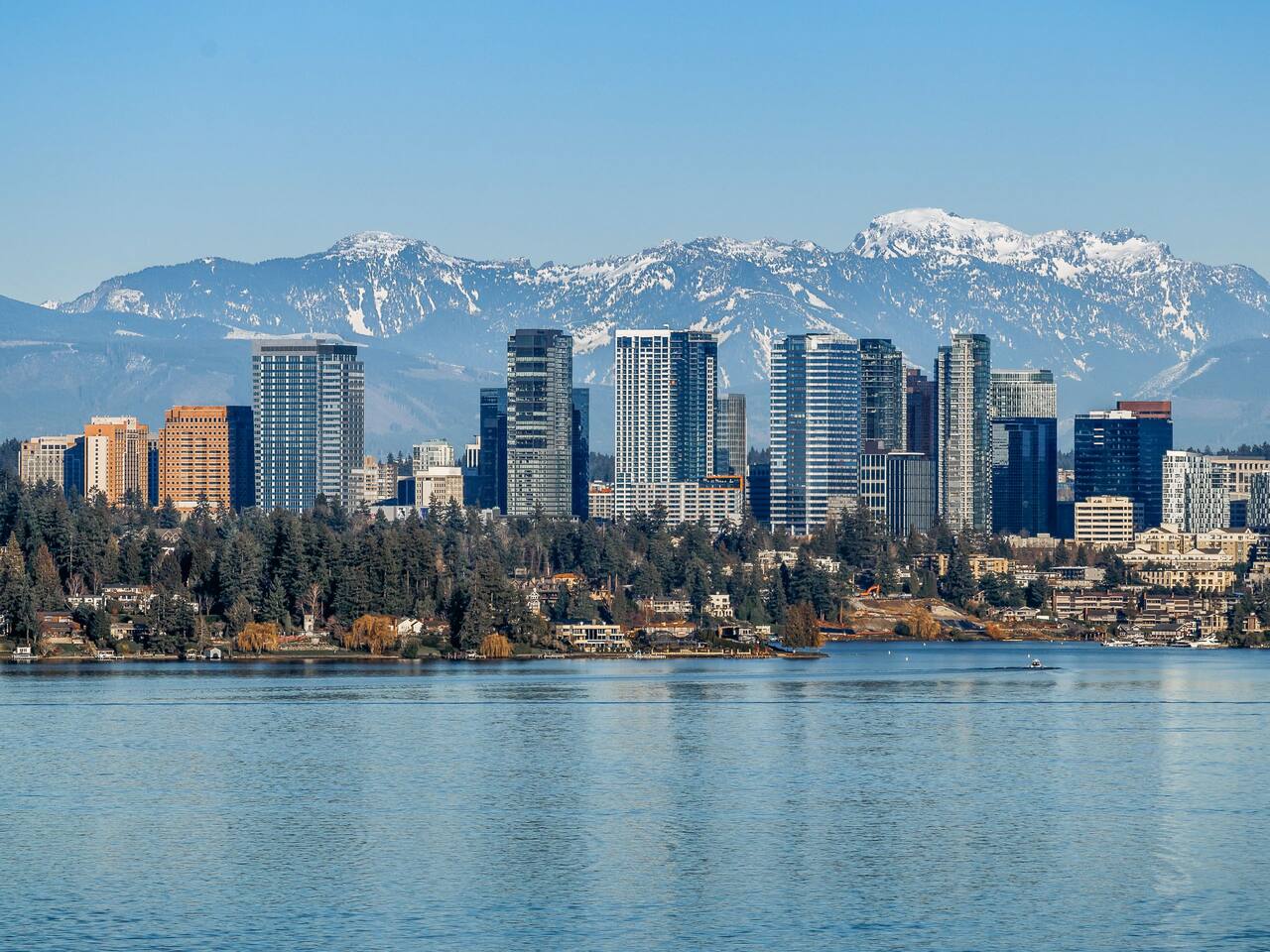 Daytime City View
